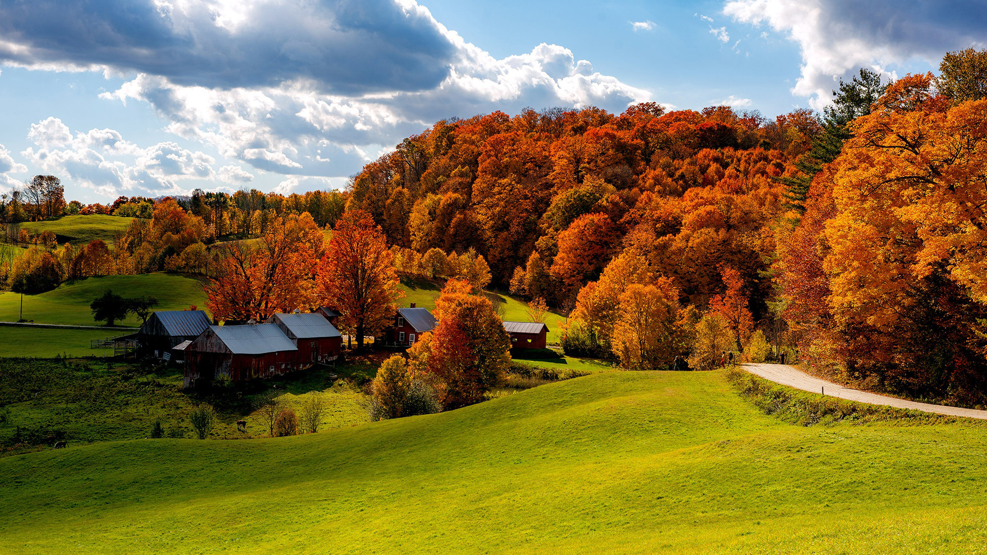 USA Vermont Forest With House And Road Between Field And Trees Under Cloudy Sky During Fall HD Nature Wallpaper