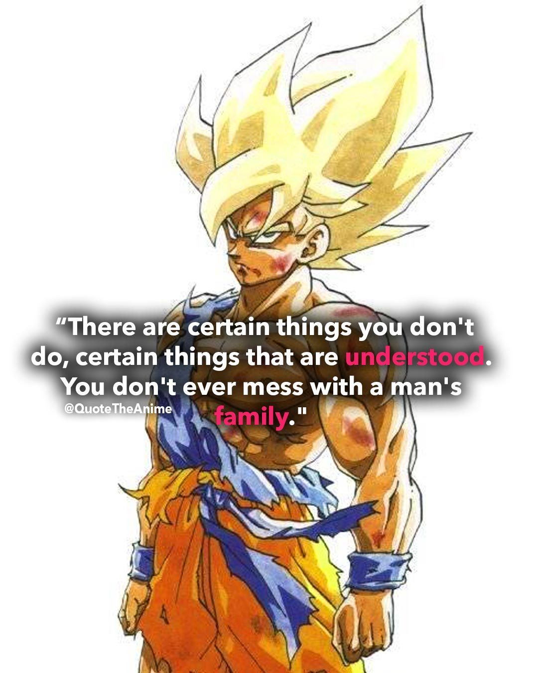 I will not let you destroy my world!!!!. Goku quotes, Dragon ball image, Dragon ball wallpaper