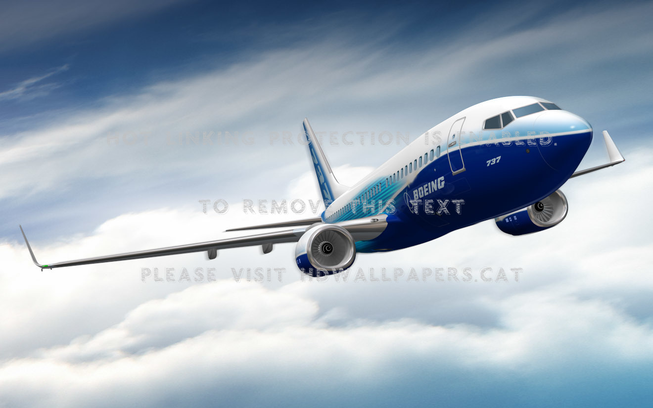 Boeing 737 800 Passenger Jet Commercial