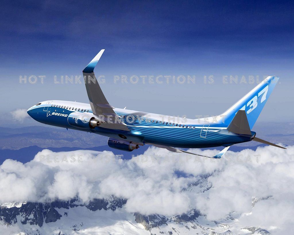 Boeing 737 800 Aircraft Jetliner Commercial