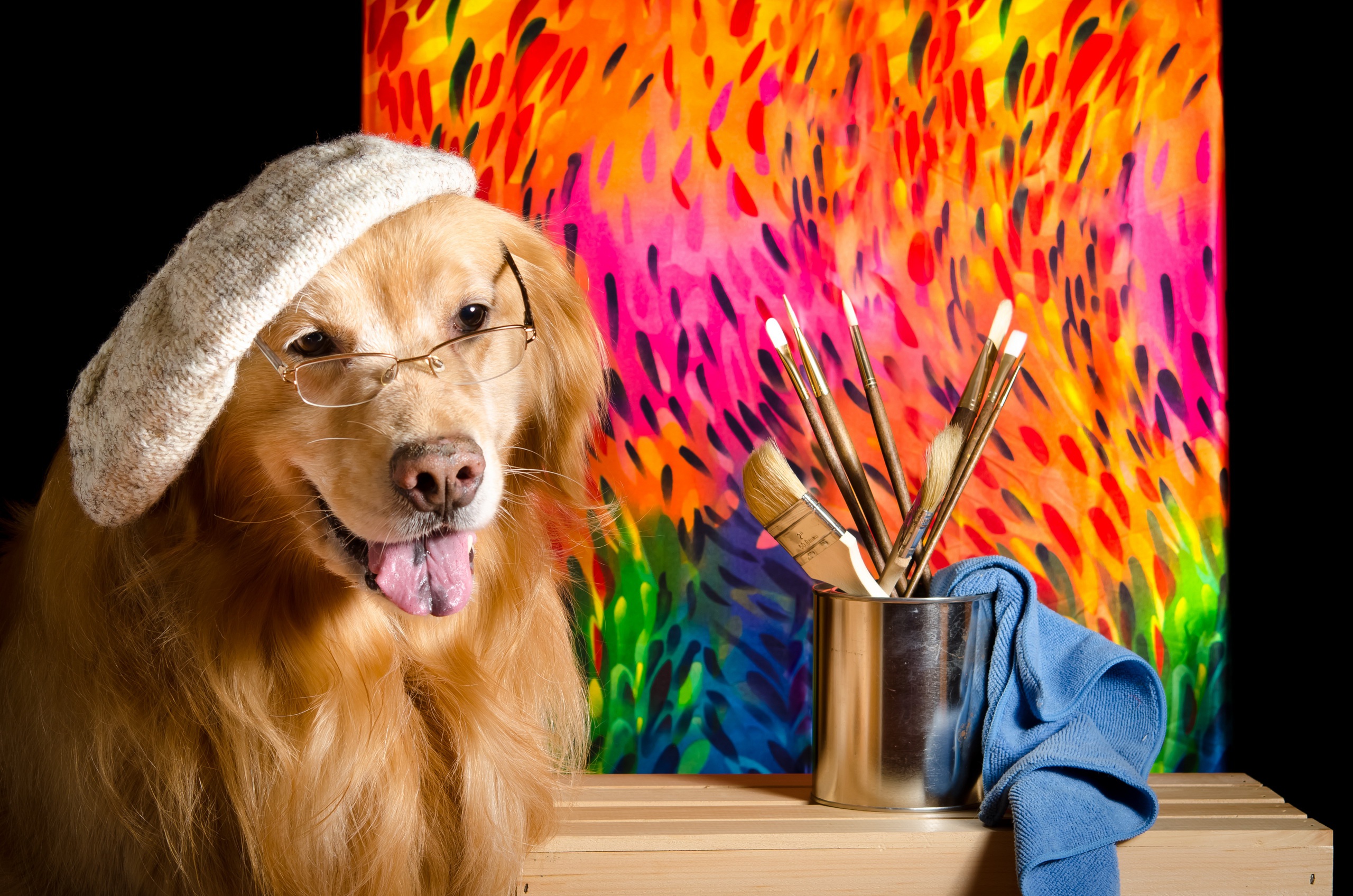 Glasses, Pet, Hat, Dog, Golden Retriever wallpaper
