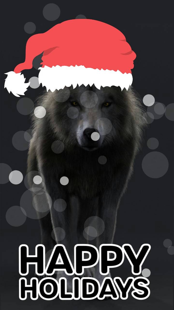 Download Christmas Wolf HD Wallpaper and Background