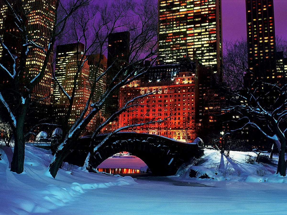 New York, Winter, Snow wallpaper. FREE Download background