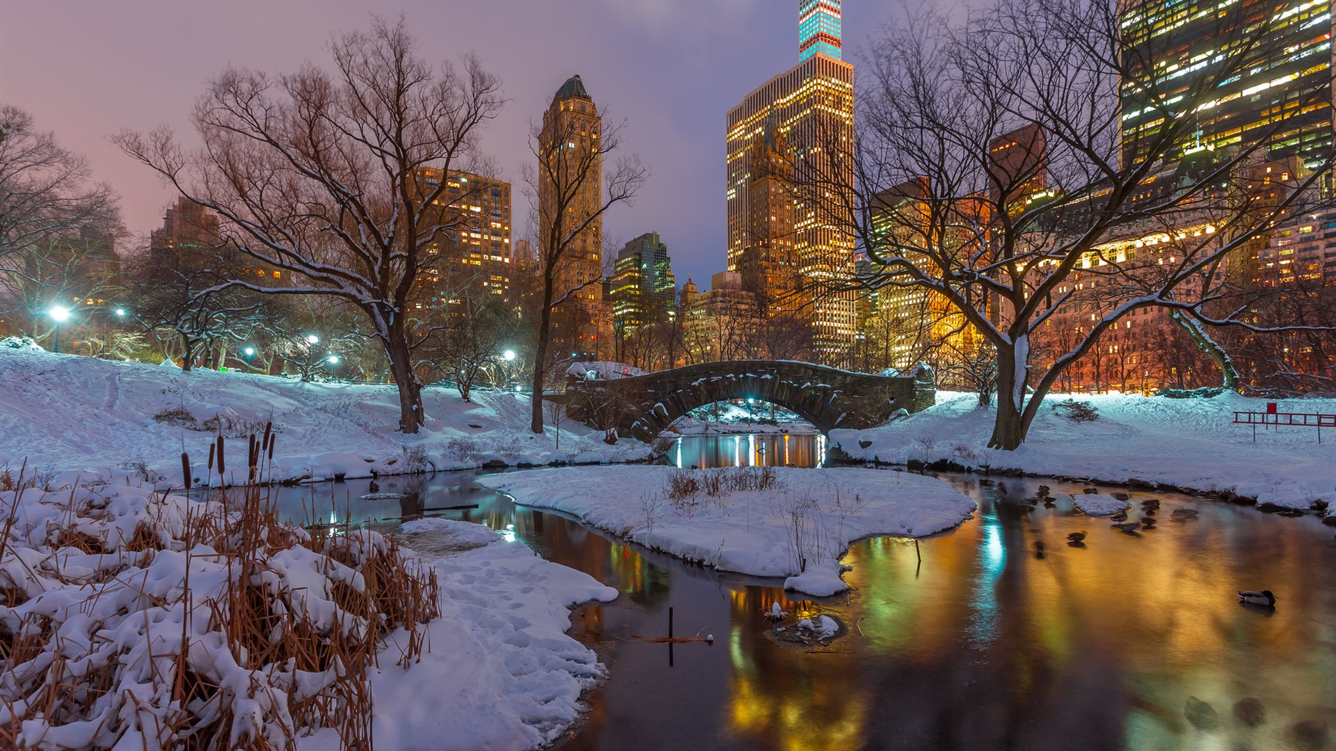 Wallpaper New York, Central Park, snow, trees, river, skyscrapers, lights, USA 1920x1440 HD Picture, Image