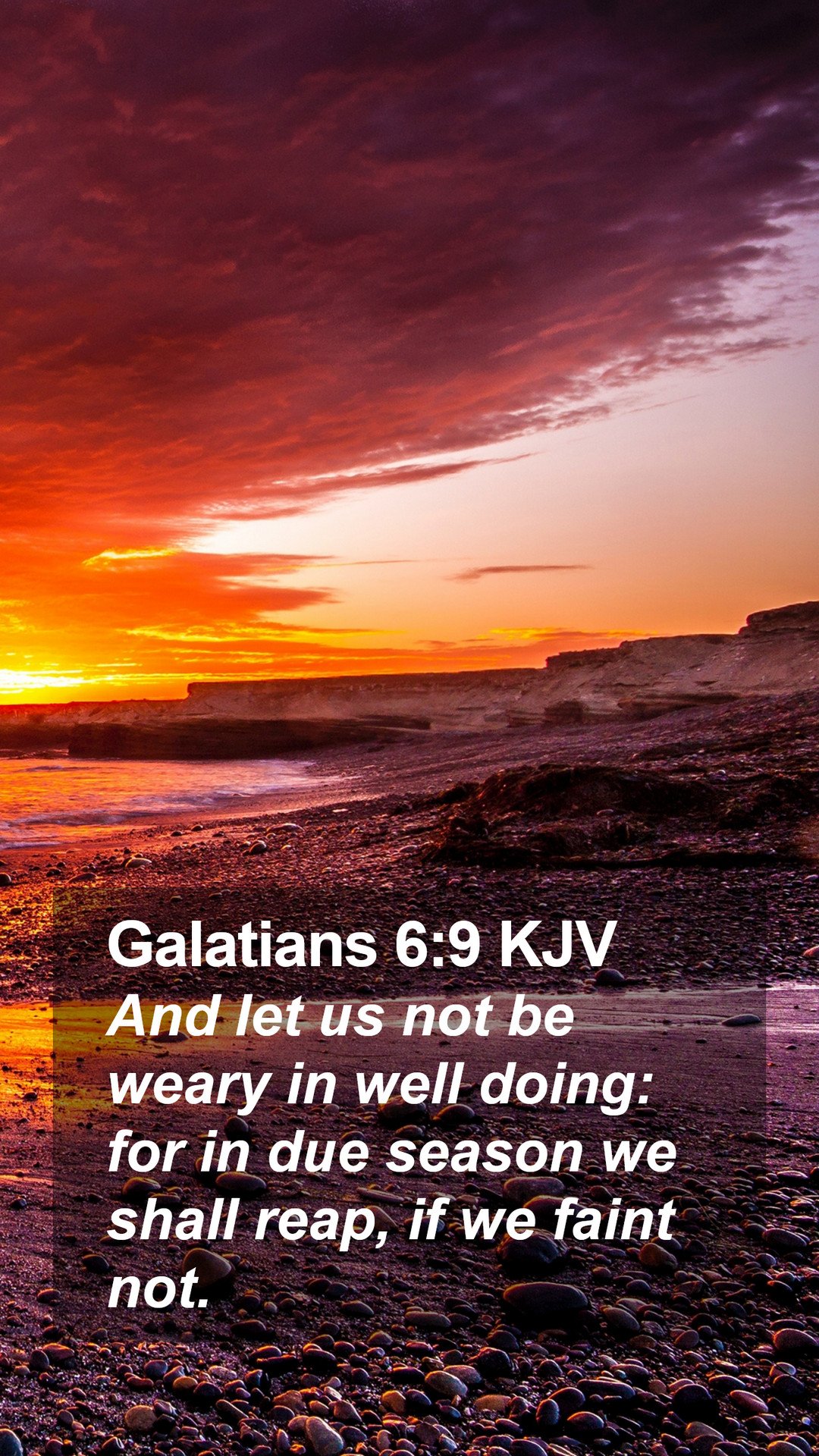 Galatians 6:9 KJV Mobile Phone Wallpaper let us not be weary in well doing: for