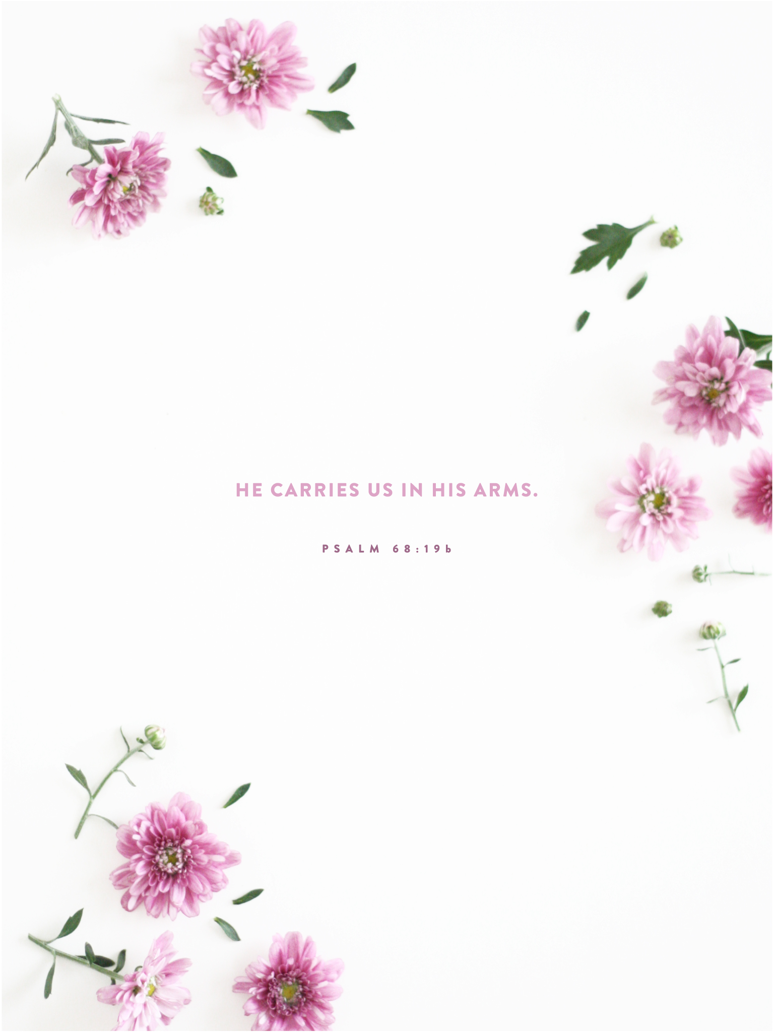 iPhone Floral Bible Verse