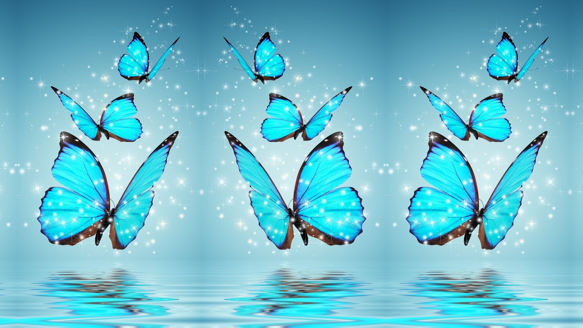 Free download Blue Butterfly Desktop Background HD 2021 Cute Wallpaper [1920x1080] for your Desktop, Mobile & Tablet. Explore Butterfly Desktop Wallpaper. Butterfly Wallpaper, Butterfly Background, Butterfly Wallpaper