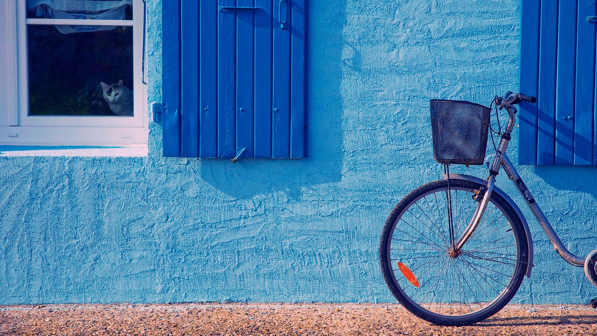 Bicycle in front of blue house HD Wallpaper. Cute desktop wallpaper, Cute wallpaper, Cute girl wallpaper