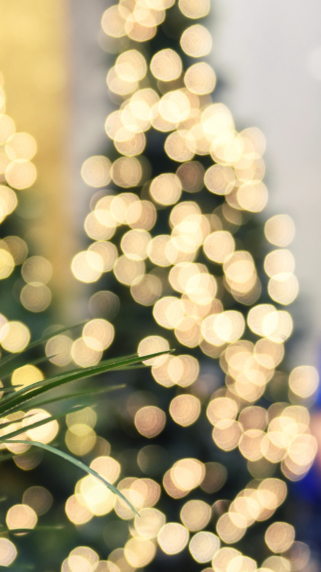 Christmas Phone Wallpaper Catholic Church