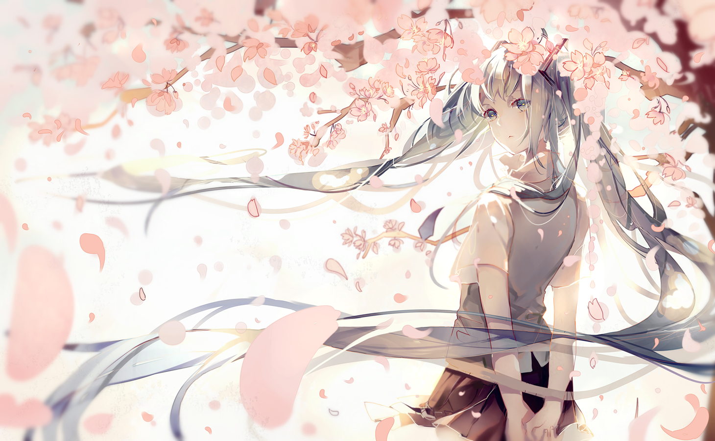Hatsune Miku Cherry Tree and Pink Flower Wallpaper and Background Imagex900