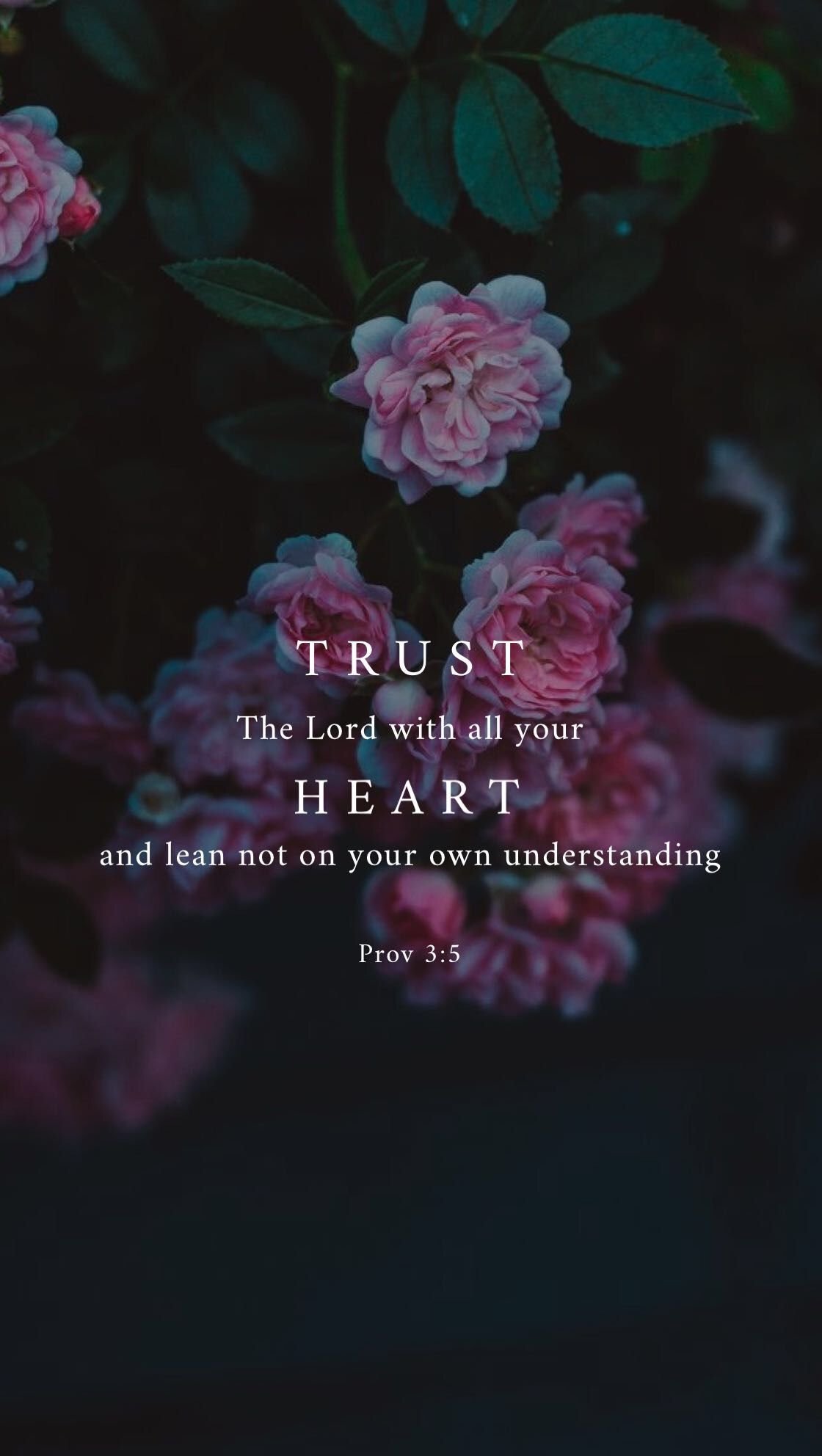 Allah Quotes Wallpaper HD Wallpaper