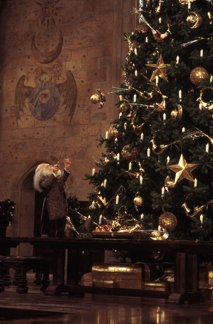 Harry Potter Film on Twitter. Christmas wallpaper, Harry potter christmas, Harry potter background
