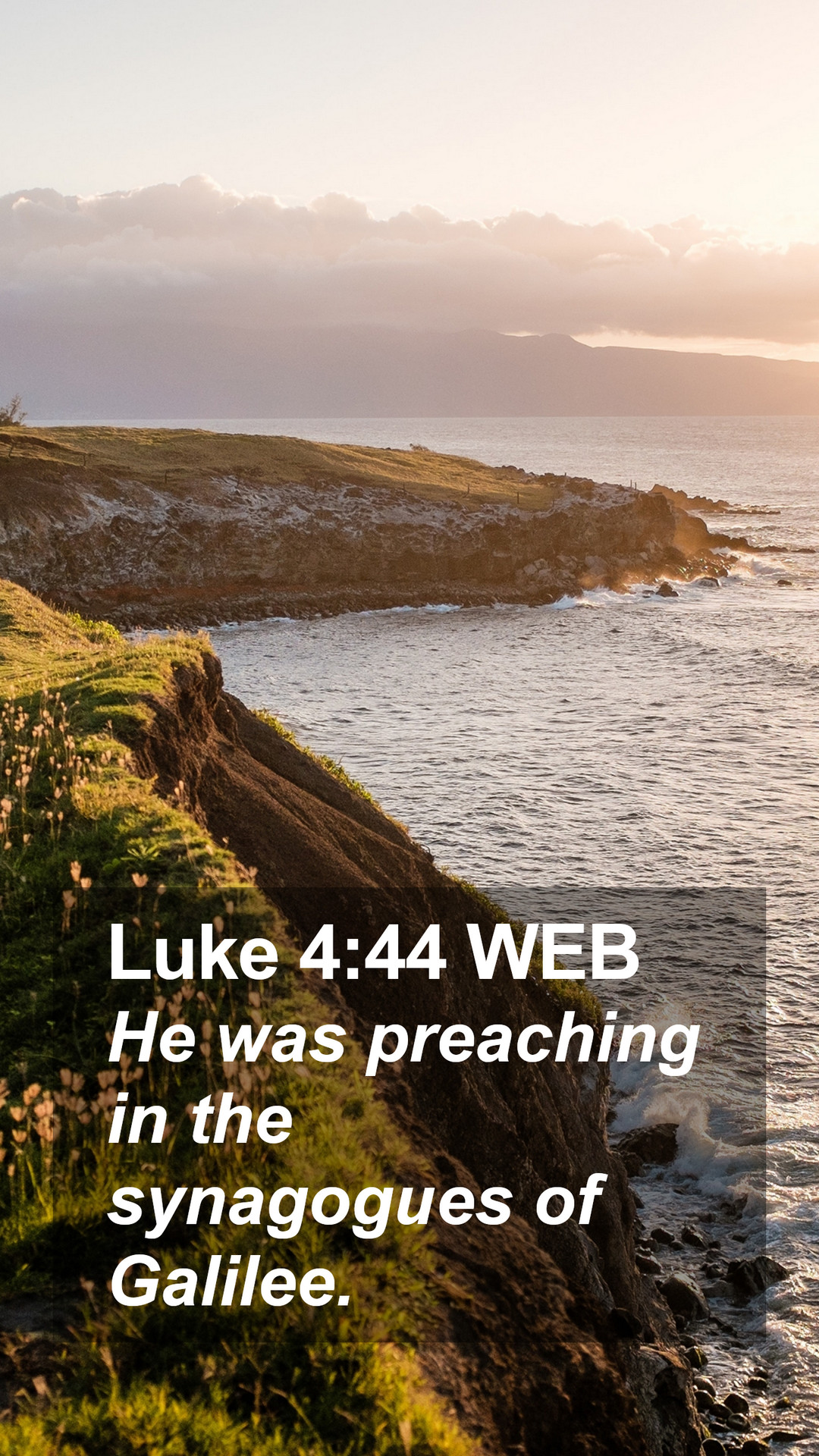 Luke 4:44 WEB Mobile Phone Wallpaper was preaching in the synagogues of