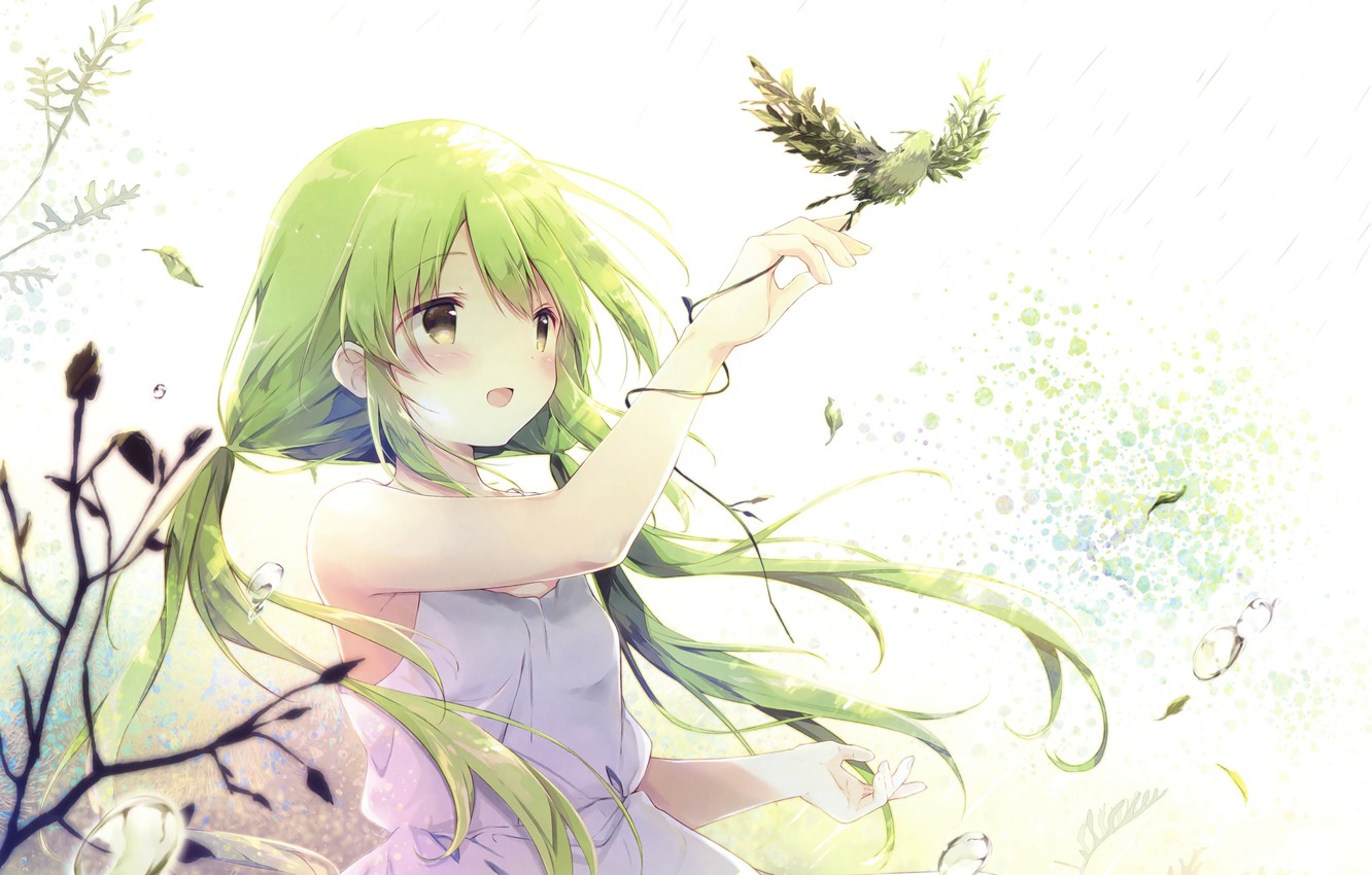Wallpaper Bird, Girl, Anime, Green hair image for desktop, section арт