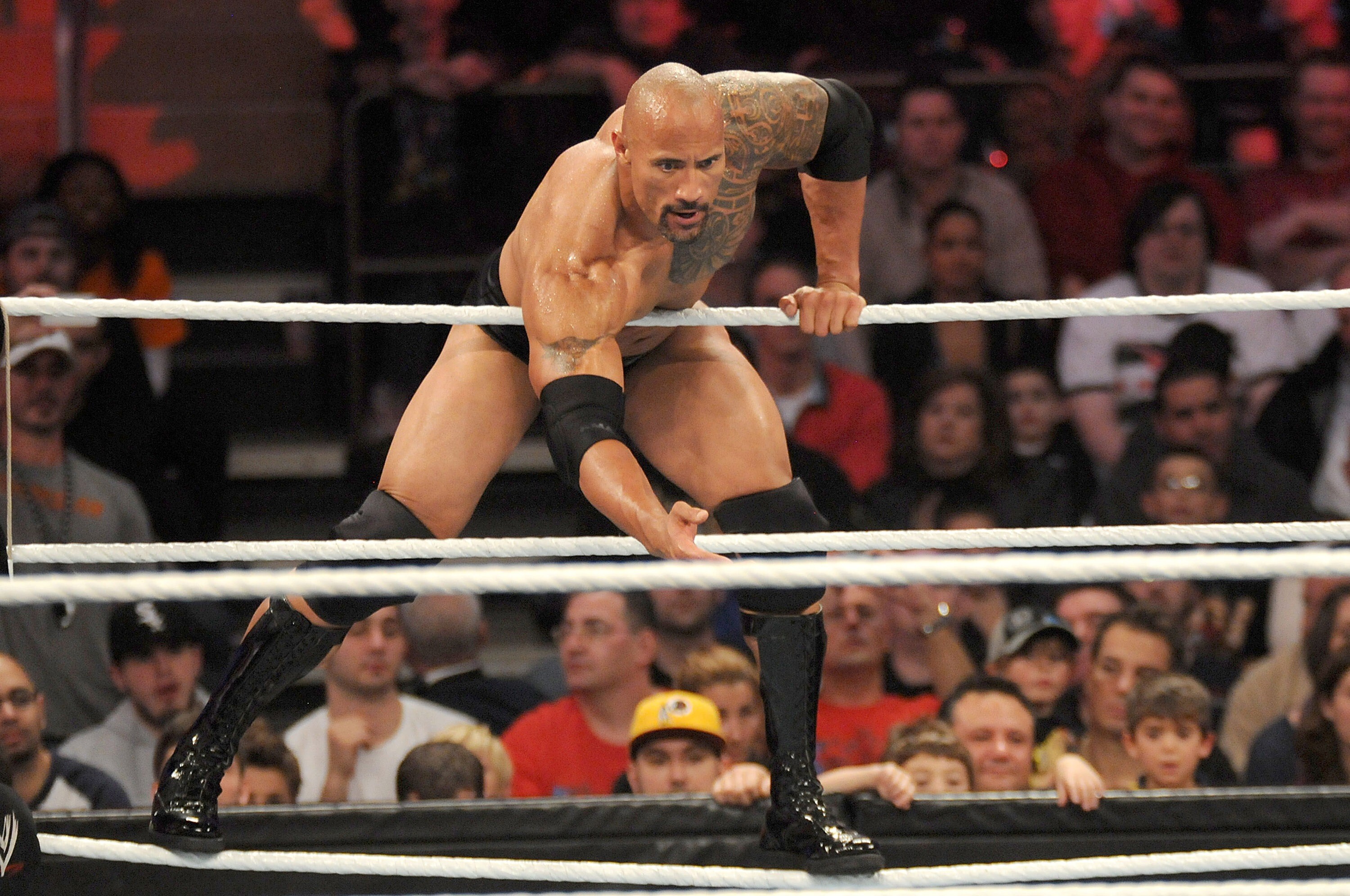 The Rock in WWE Ring Fight HD Wallpaper