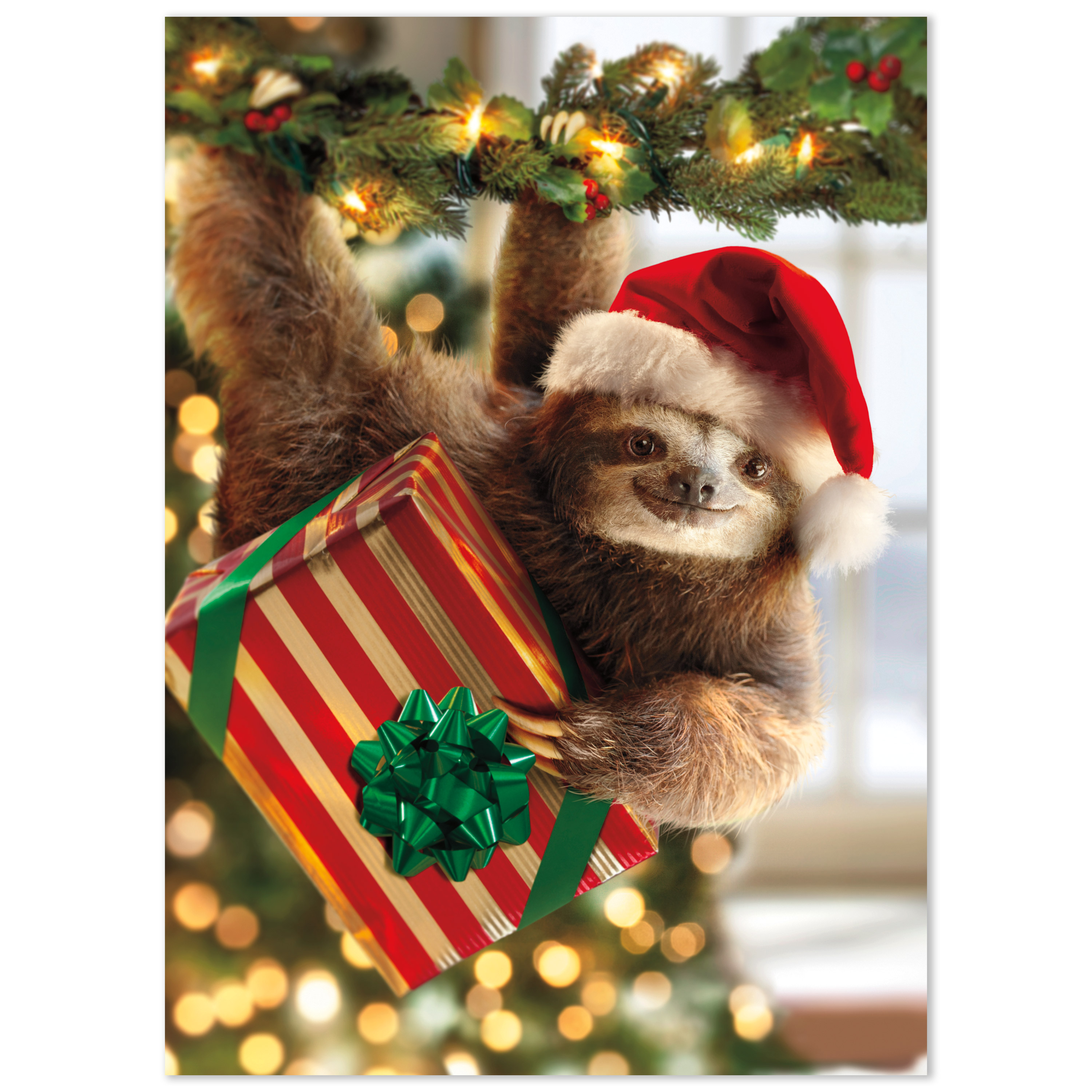 sloth christmas wallpaper