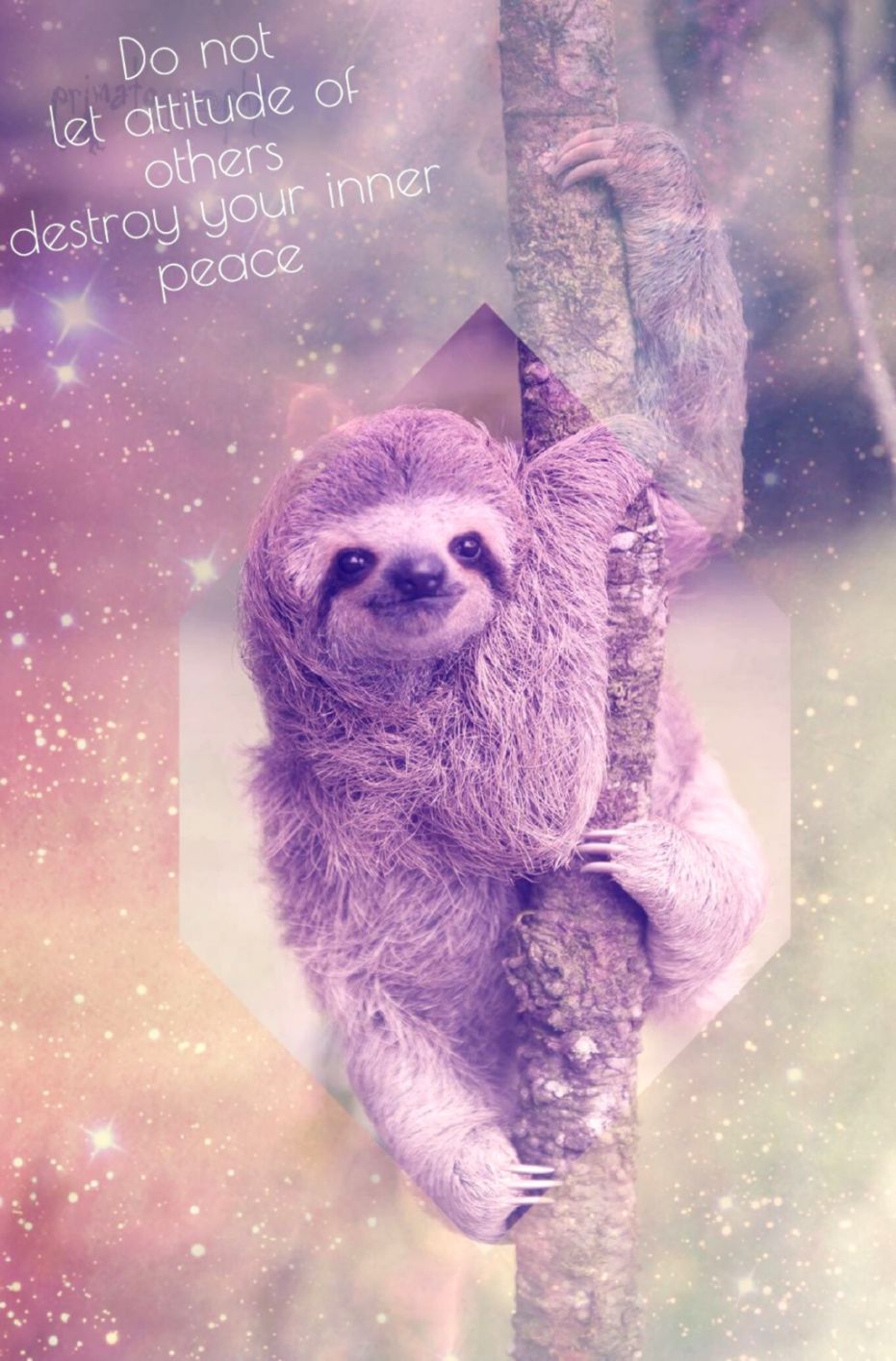 Wallpaper Wallpaper Colorful Sloth