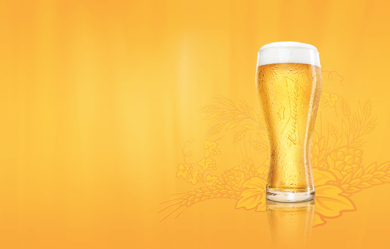 Beer Glass Wallpapers - Wallpaper Cave