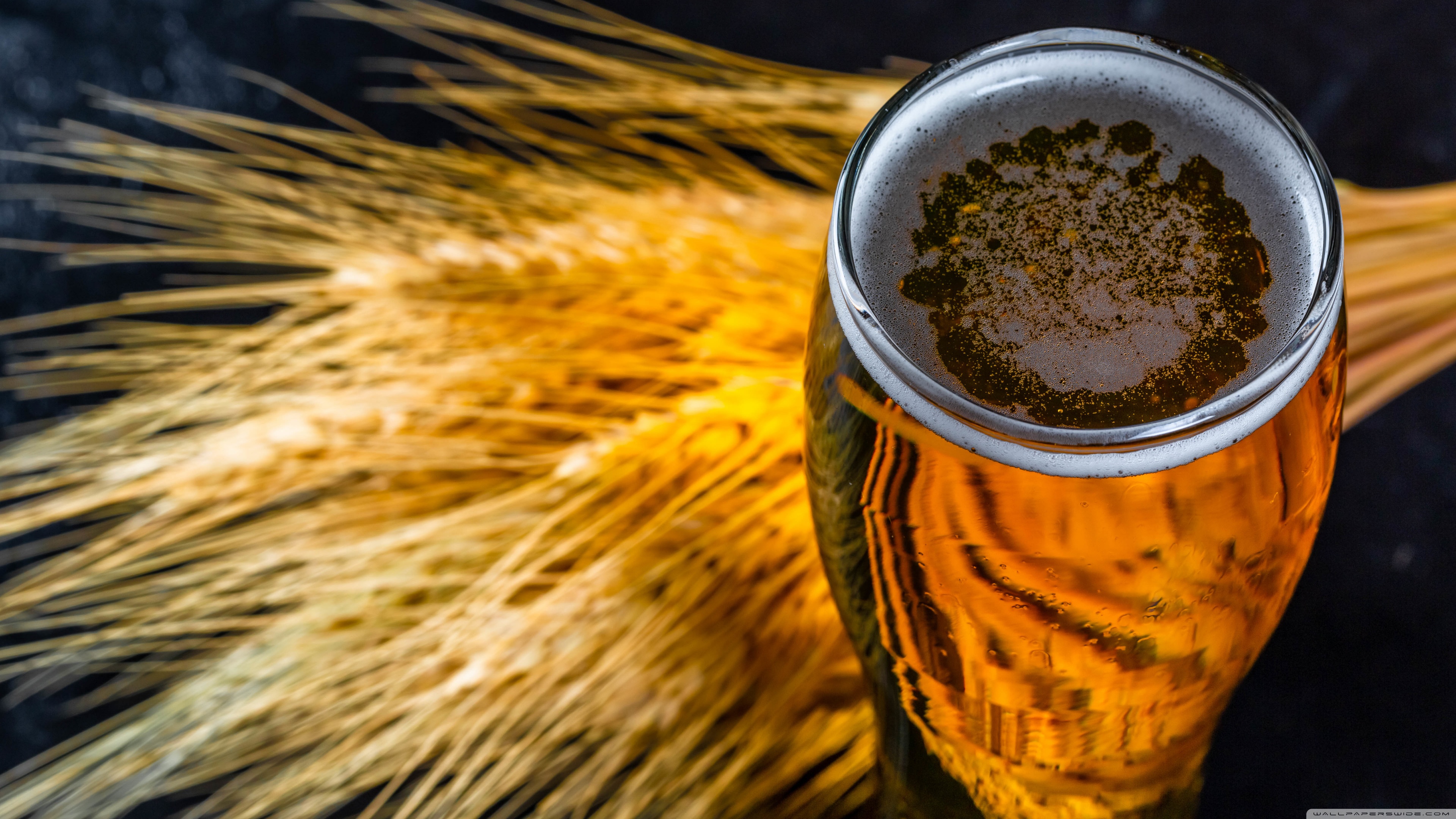 Beer Glass Wallpapers - Wallpaper Cave