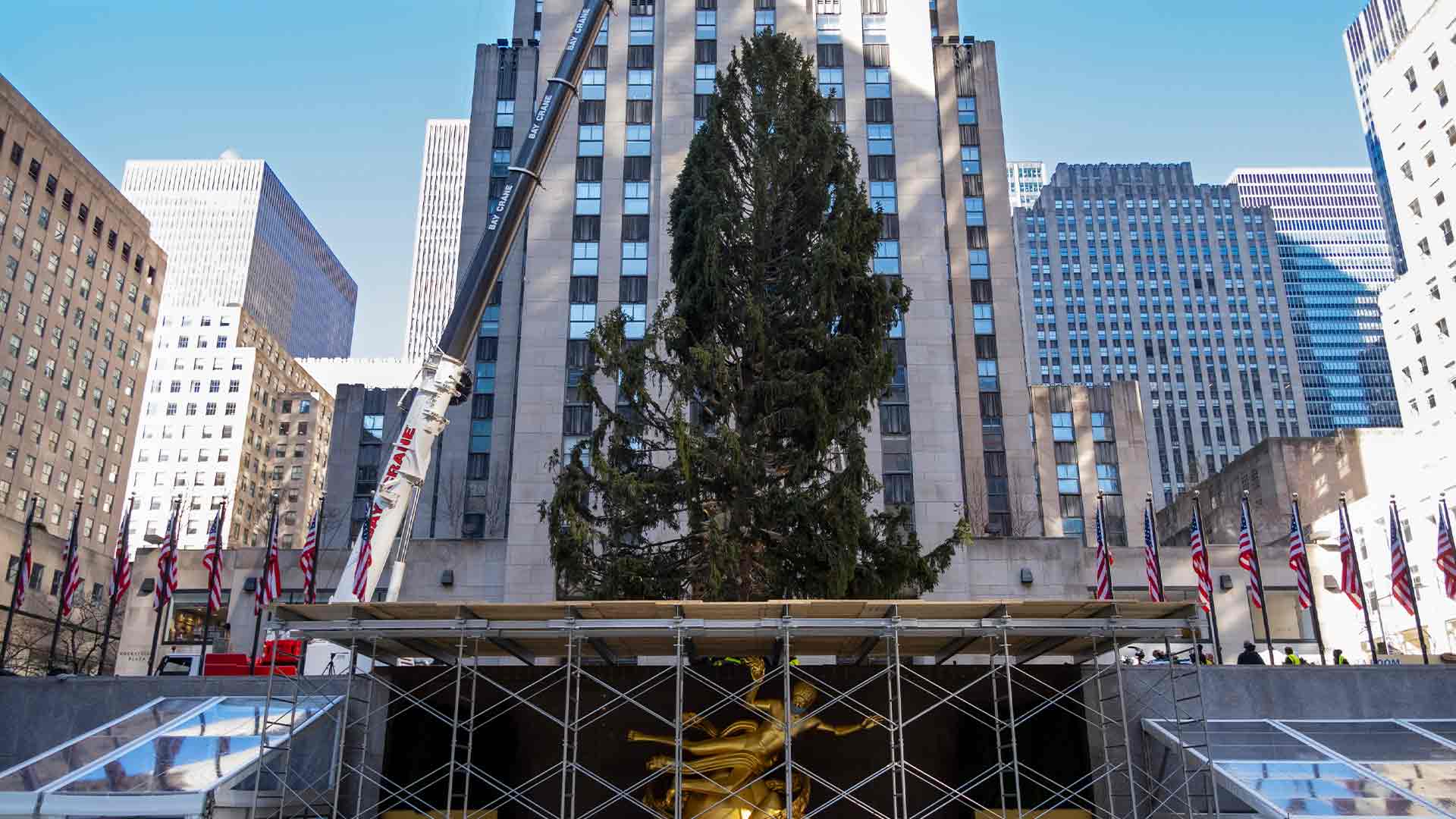 Rockefeller Center Christmas Tree arrives in NYC from Oneonta, New York New York