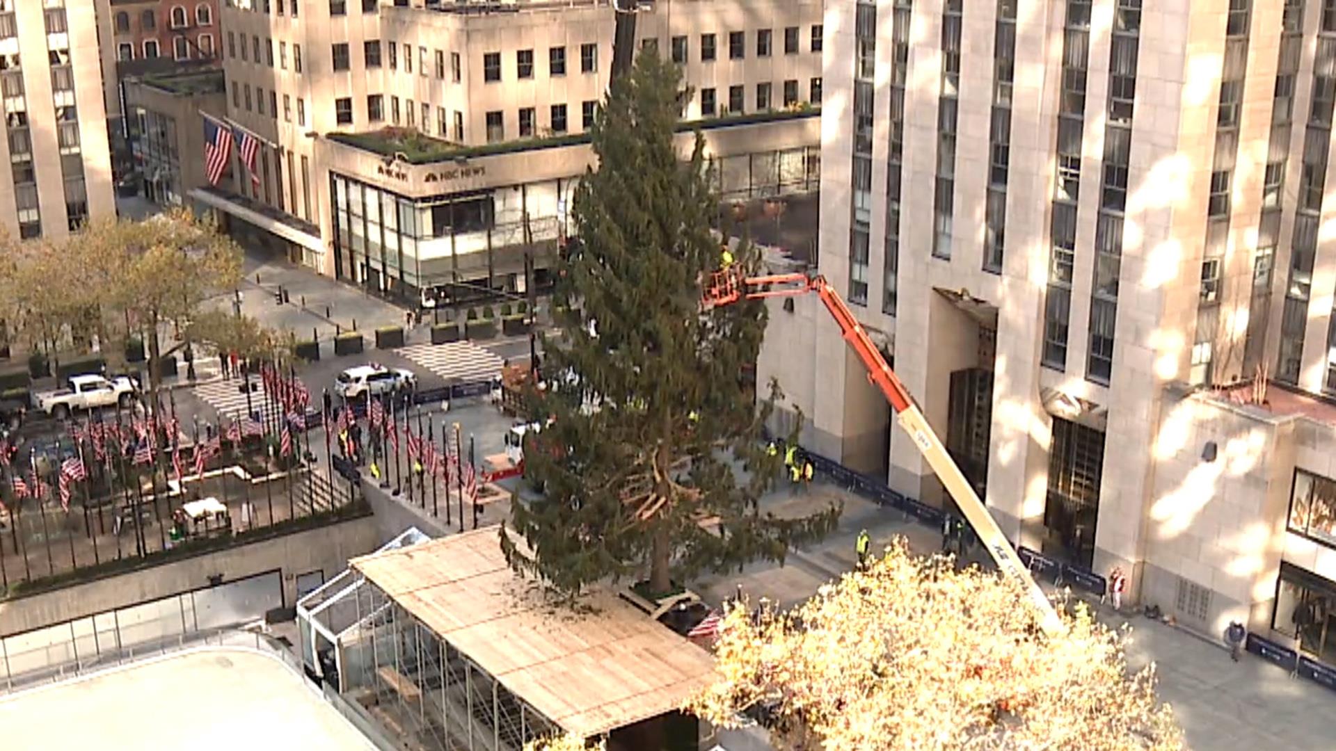 The Rockefeller Center Christmas tree is just fine