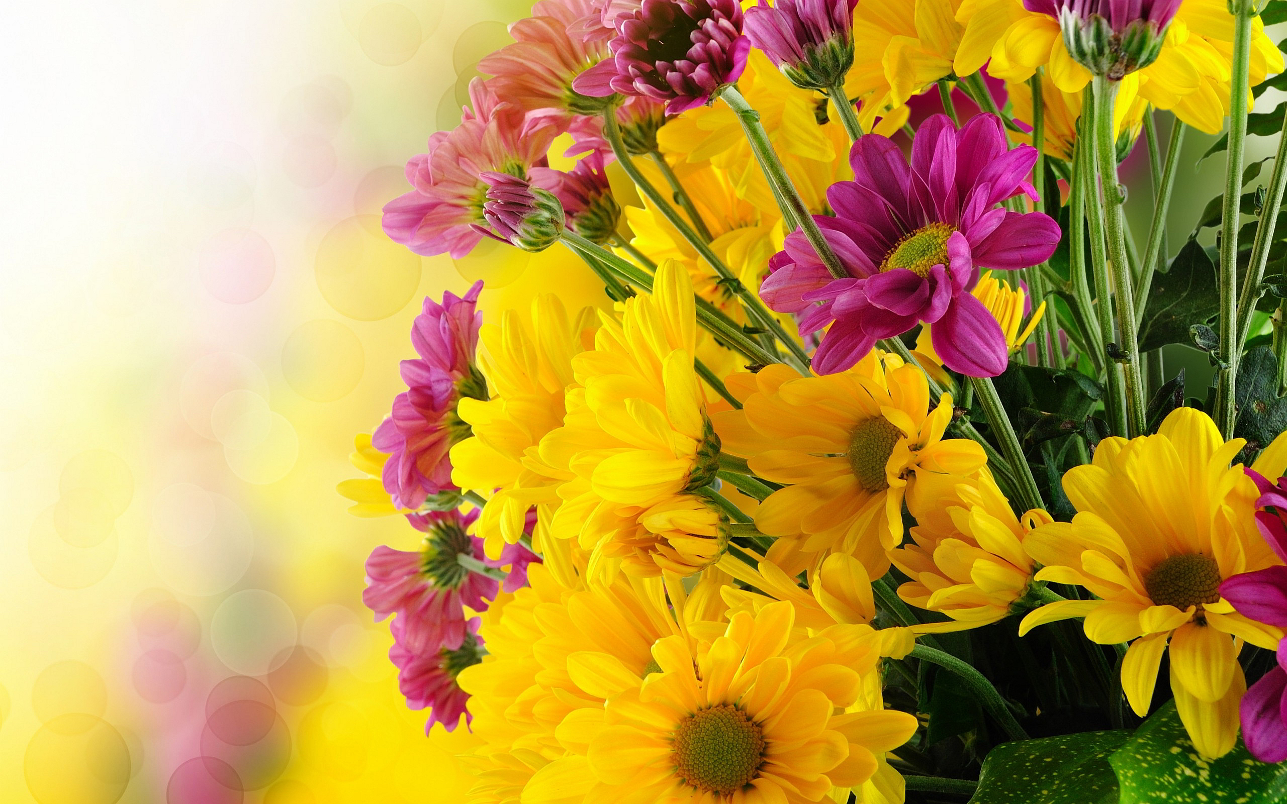 Bunch pink yellow flowers wallpaperx1600