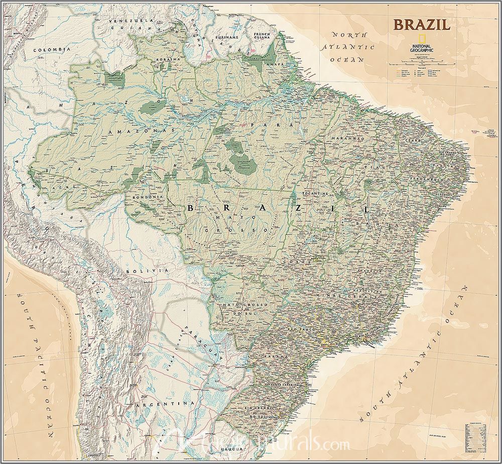 Executive Brazil Map Wallpaper Mural