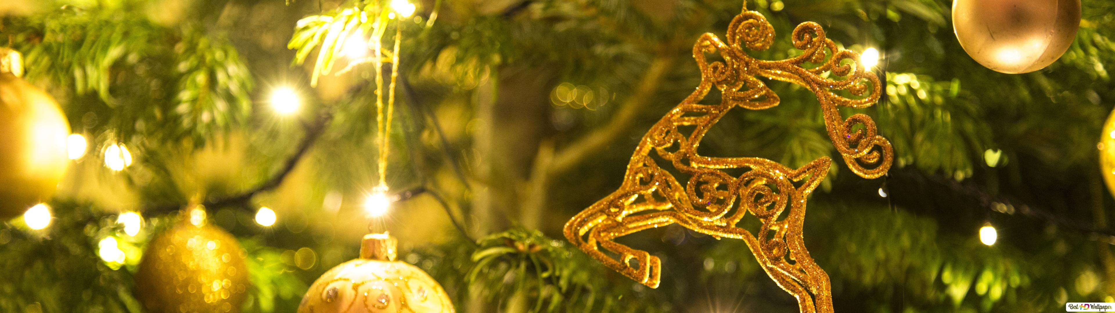 Christmas Tree HD wallpaper download