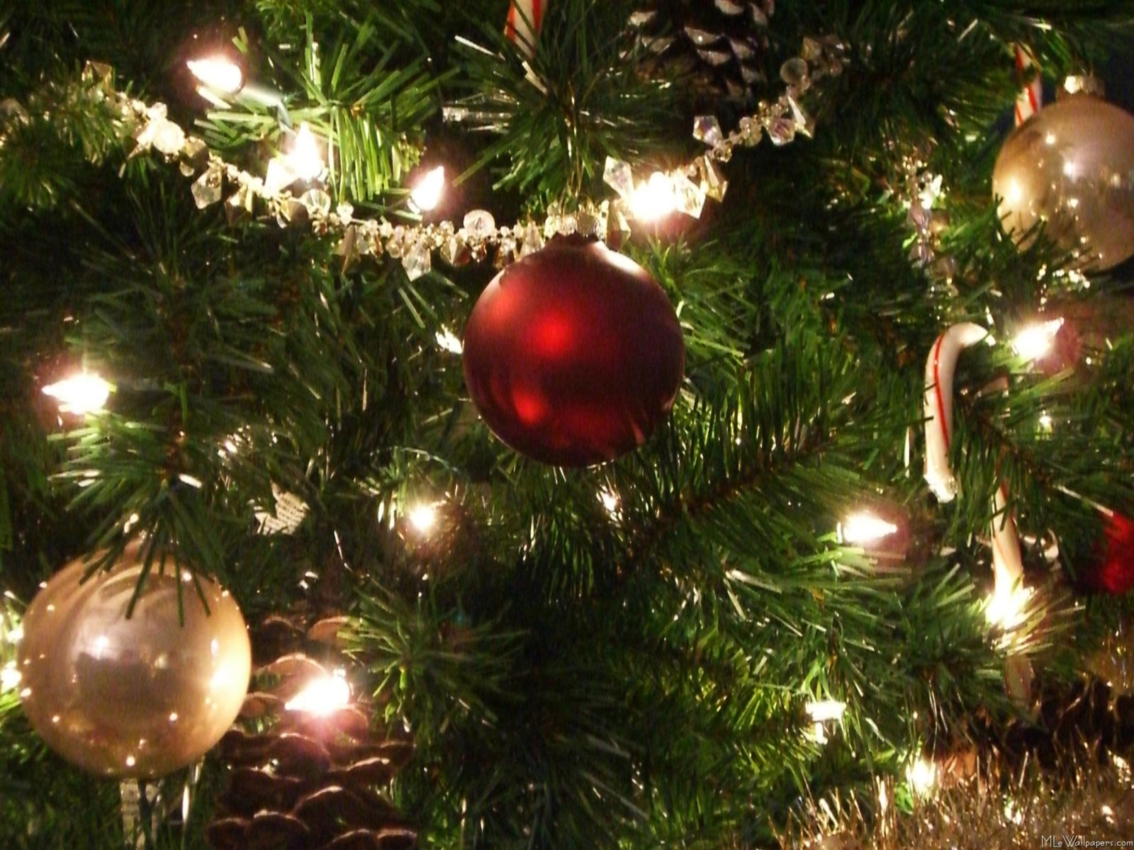 Christmas Tree Lights Backgrounds
