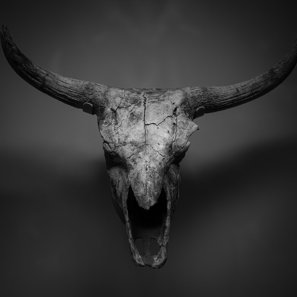 HD wallpaper: billelis, dark, goat, satanic, Gothic, cross, skull, Wallpaper Flare