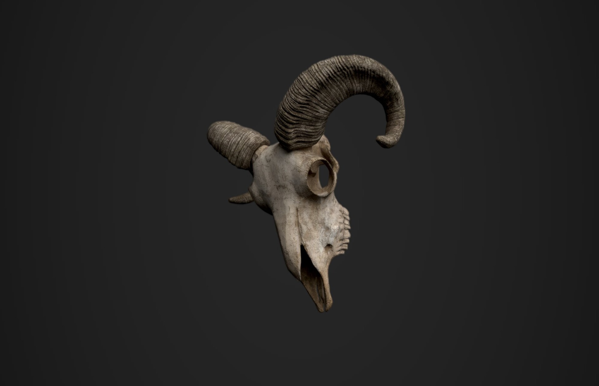 Goat Skull Wallpapers - Wallpaper Cave