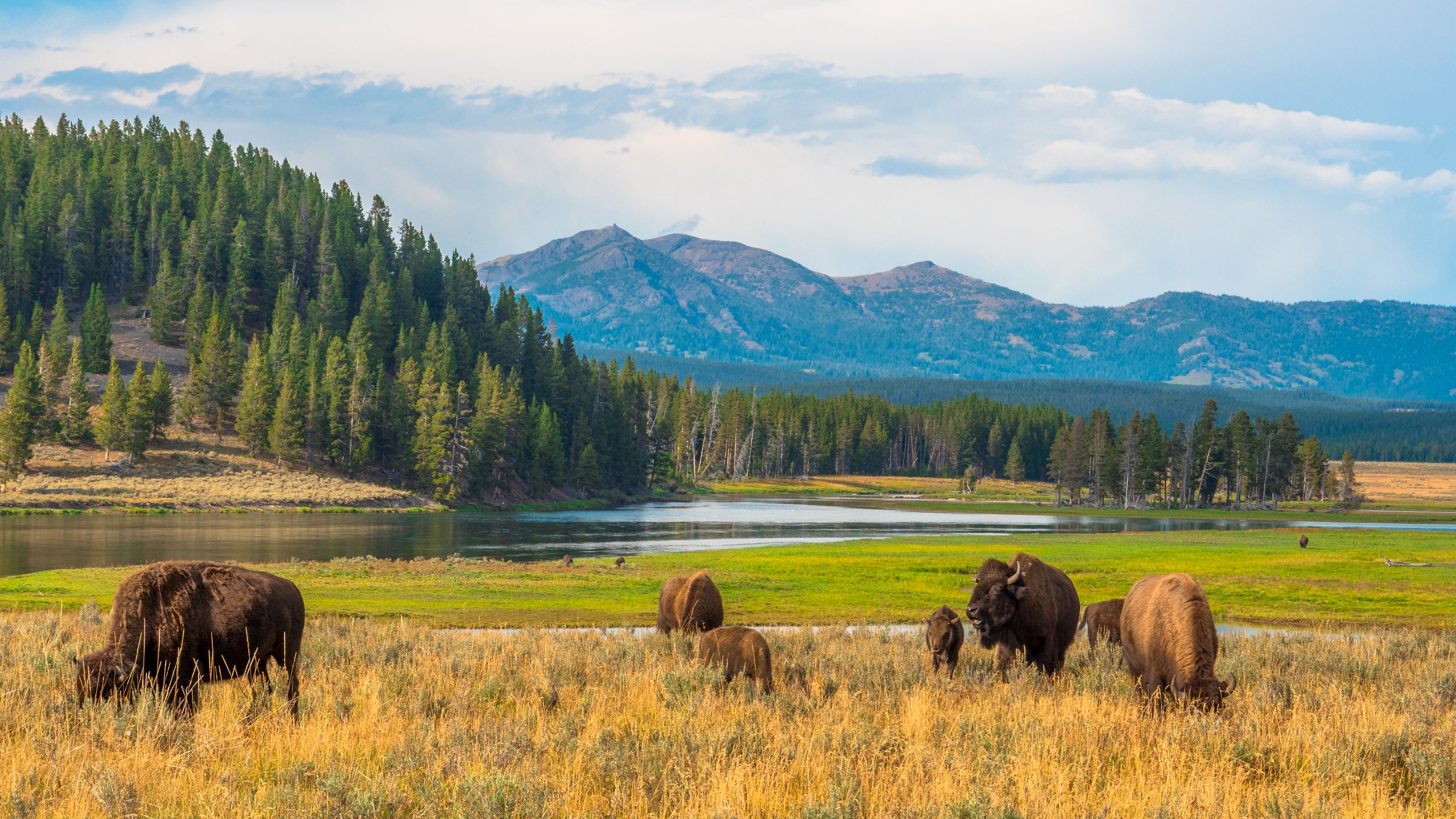 National Parks Are Changing Reservation Rules This Fall. Condé Nast Traveler