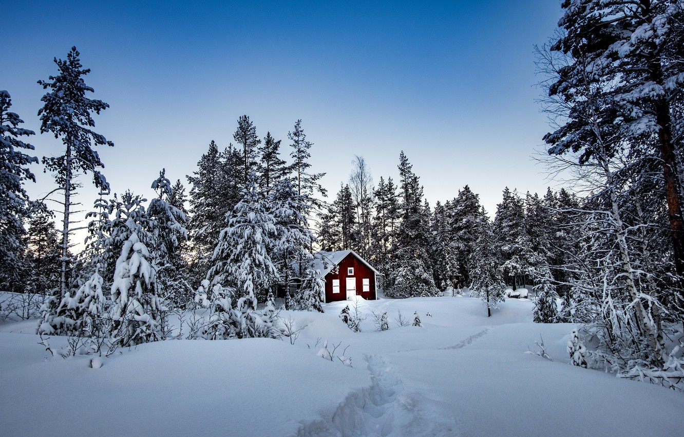 Wallpaper winter, forest, snow, trees, house, Sweden, Sweden, Storforsen Nature Reserve image for desktop, section пейзажи