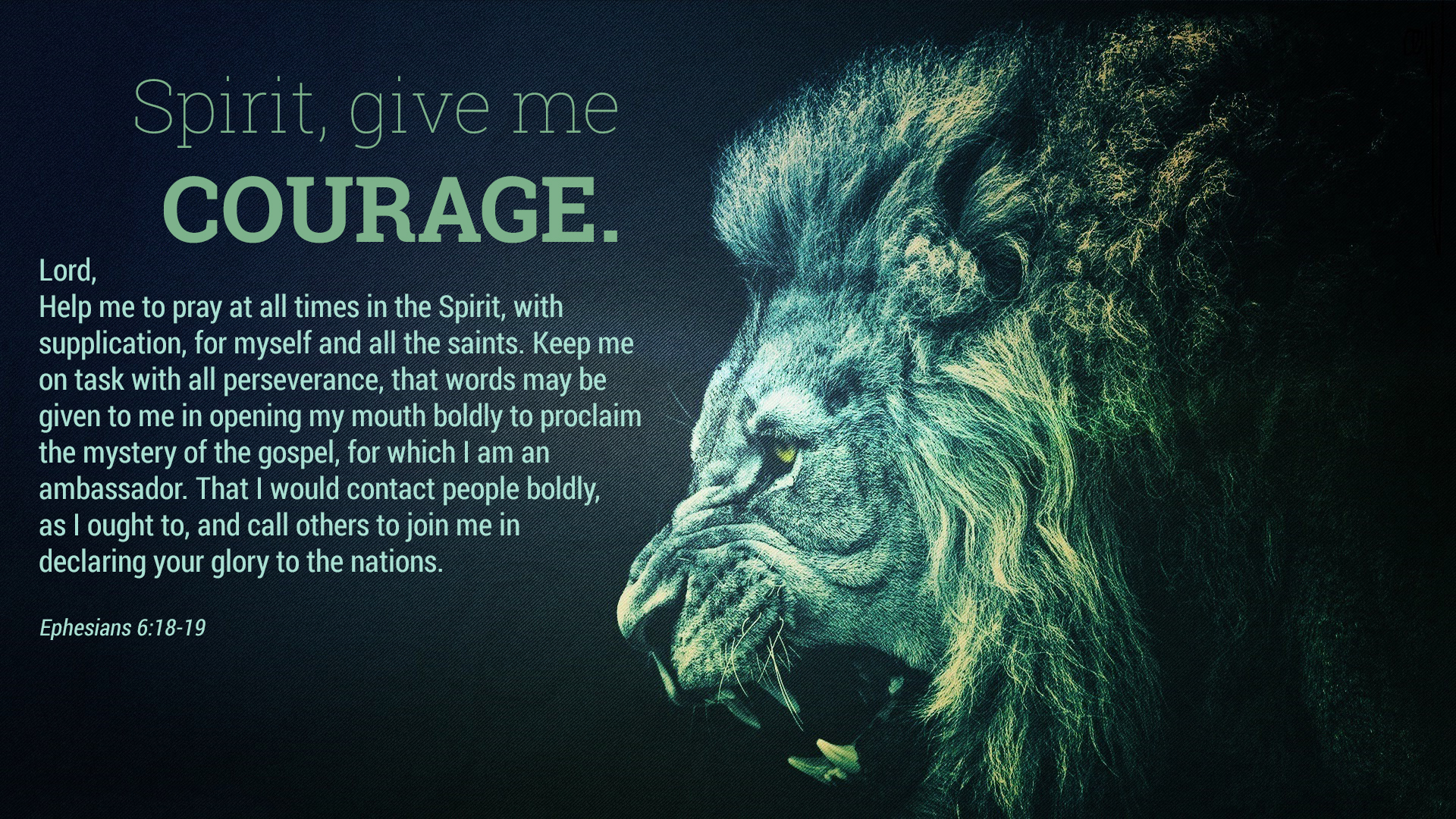 Missionary Partnership Prayer Lion Wallpaper