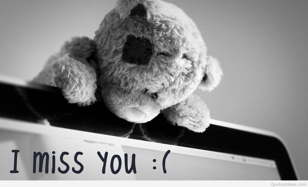 Sad Teddy Bear Miss You HD Wallpaper