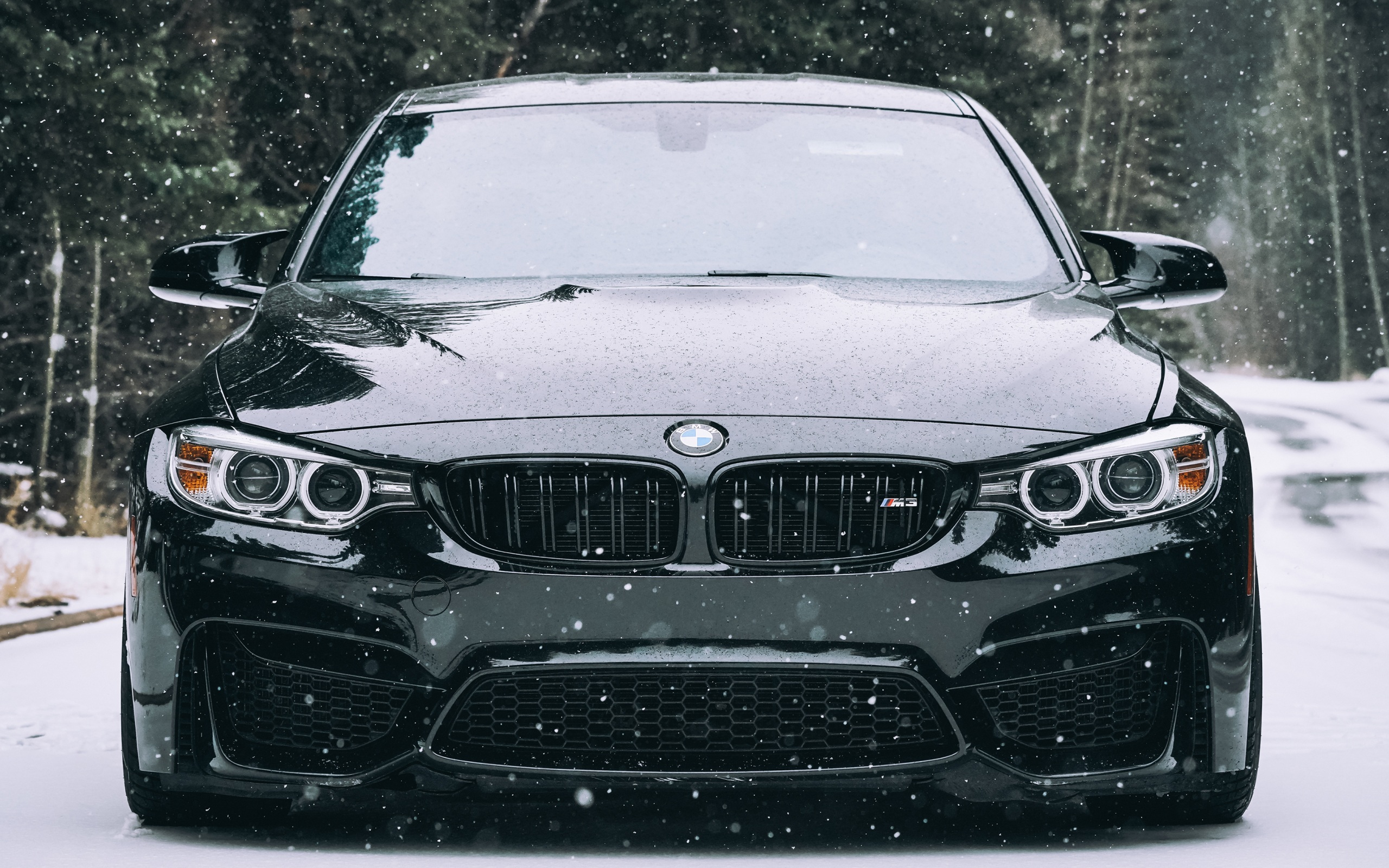 Wallpaper 4k Bmw F80 4k Wallpaper