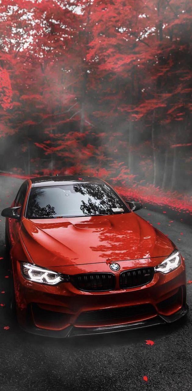 Bmw M3 F80 wallpaper