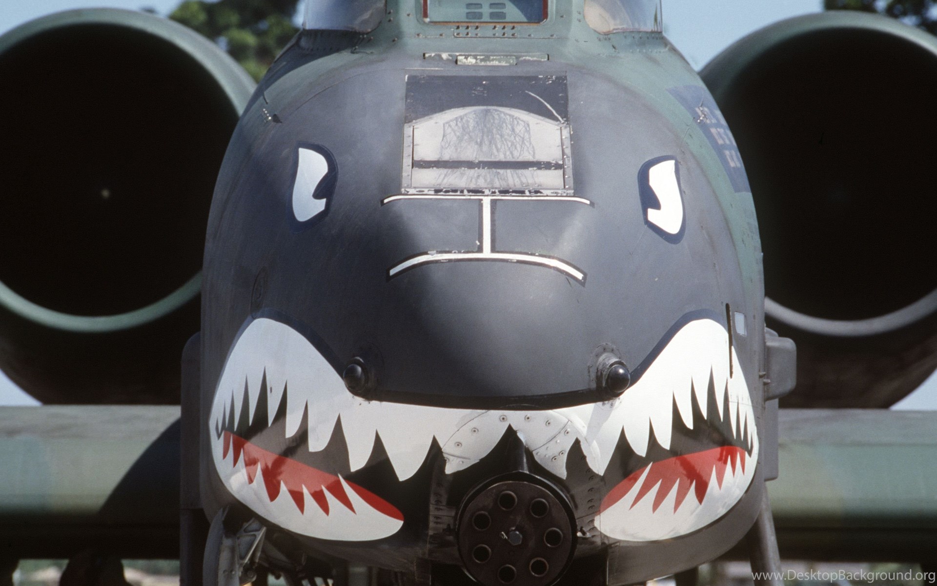 A 10 Thunderbolt Ii Aircraft Military Nose Art Vehicles Wallpaper. Desktop Background