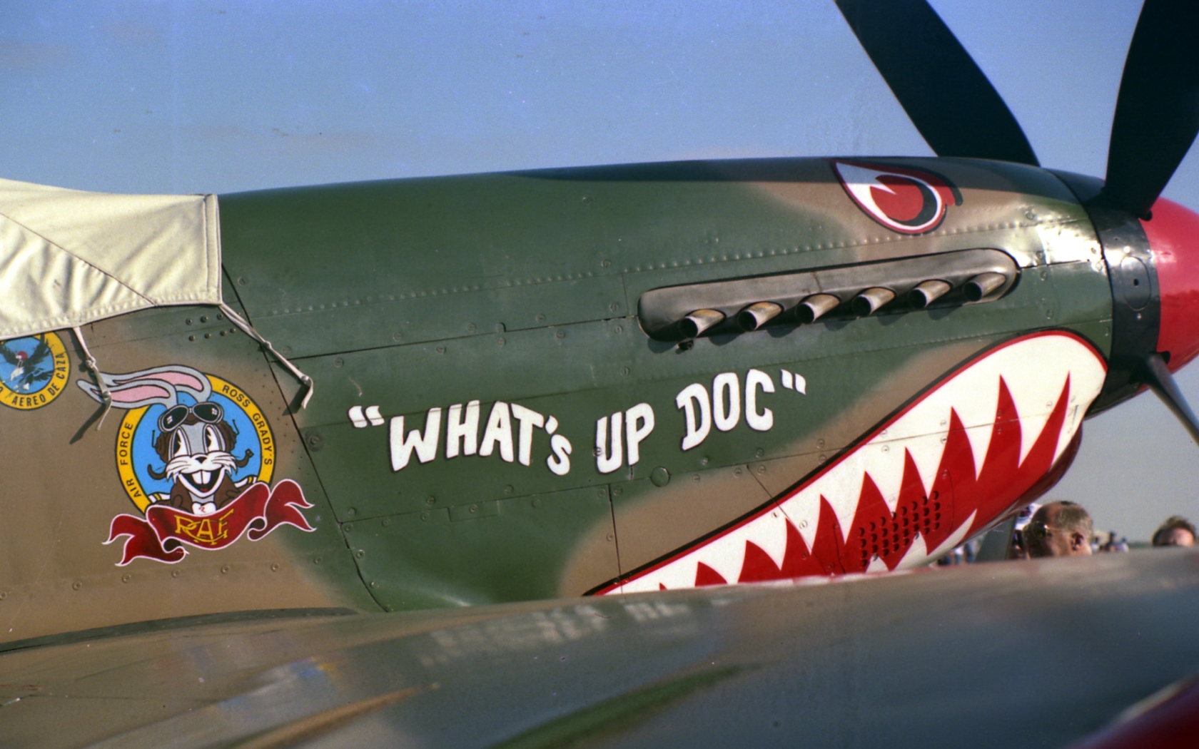 Military Aircraft Nose Art Wallpaper:1680x1050