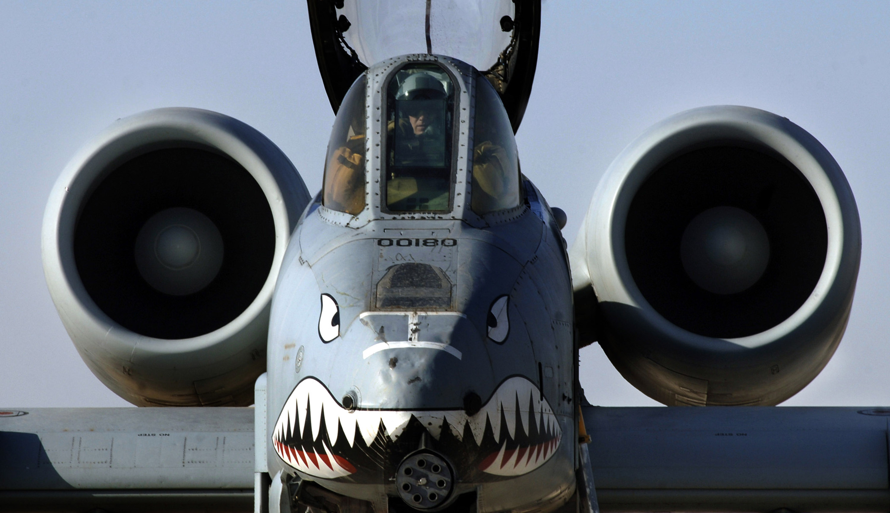 A10 8g. Бородавочник самолет а-10. А-10 Тандерболт. A-10a "Thunderbolt II". A-10 Warthog.