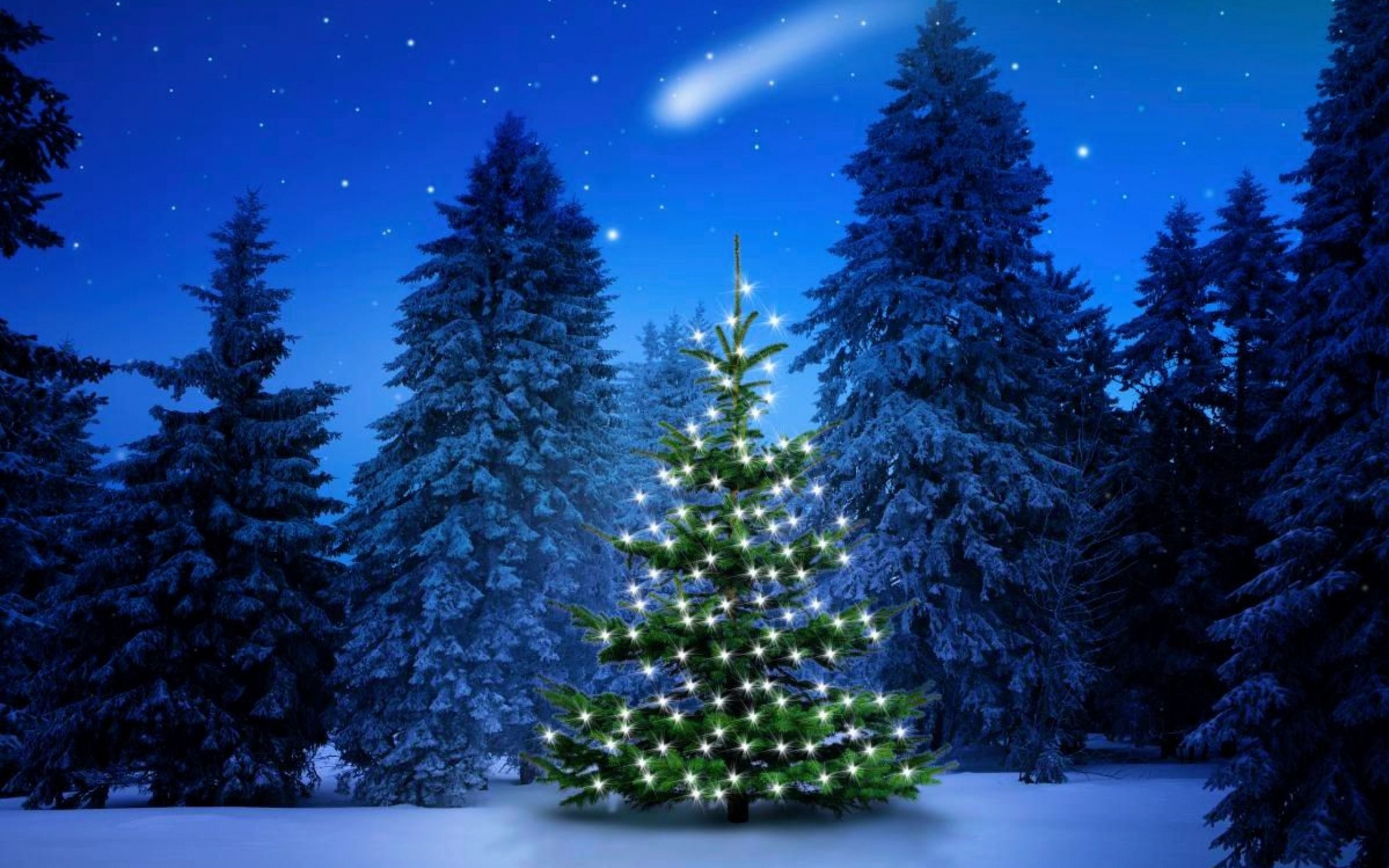 Christmas tree beauty wallpapers wallpaper cave