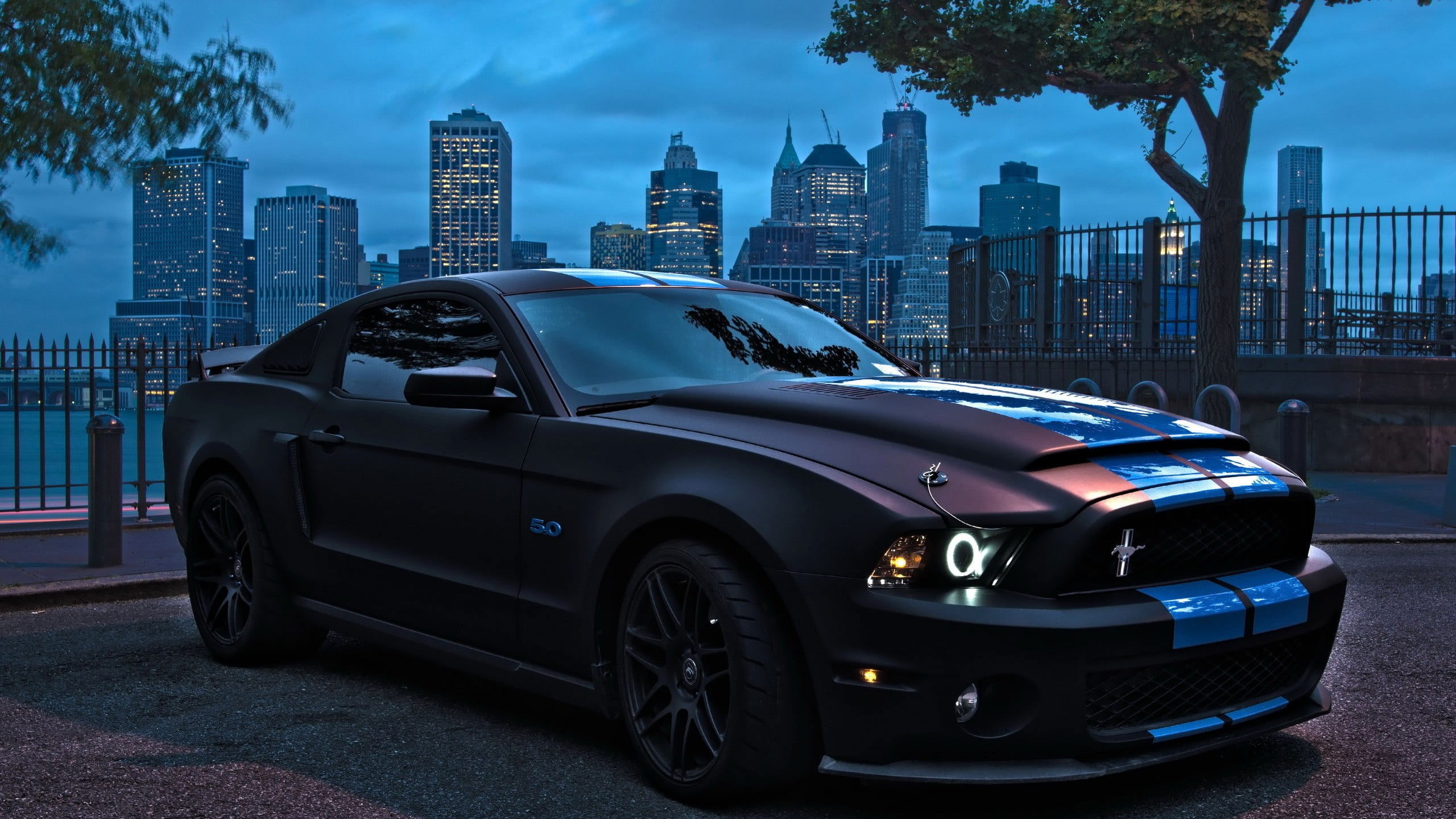 Wallpaper Black Ford Mustang, Car, Muscle Cars, Luxury • Wallpaper For You HD Wallpaper For Desktop & Mobile