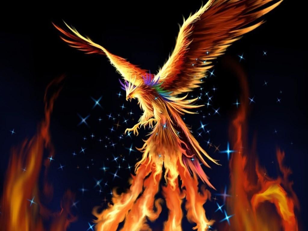 Phoenix Bird HD Wallpaper Free Phoenix Bird HD Background