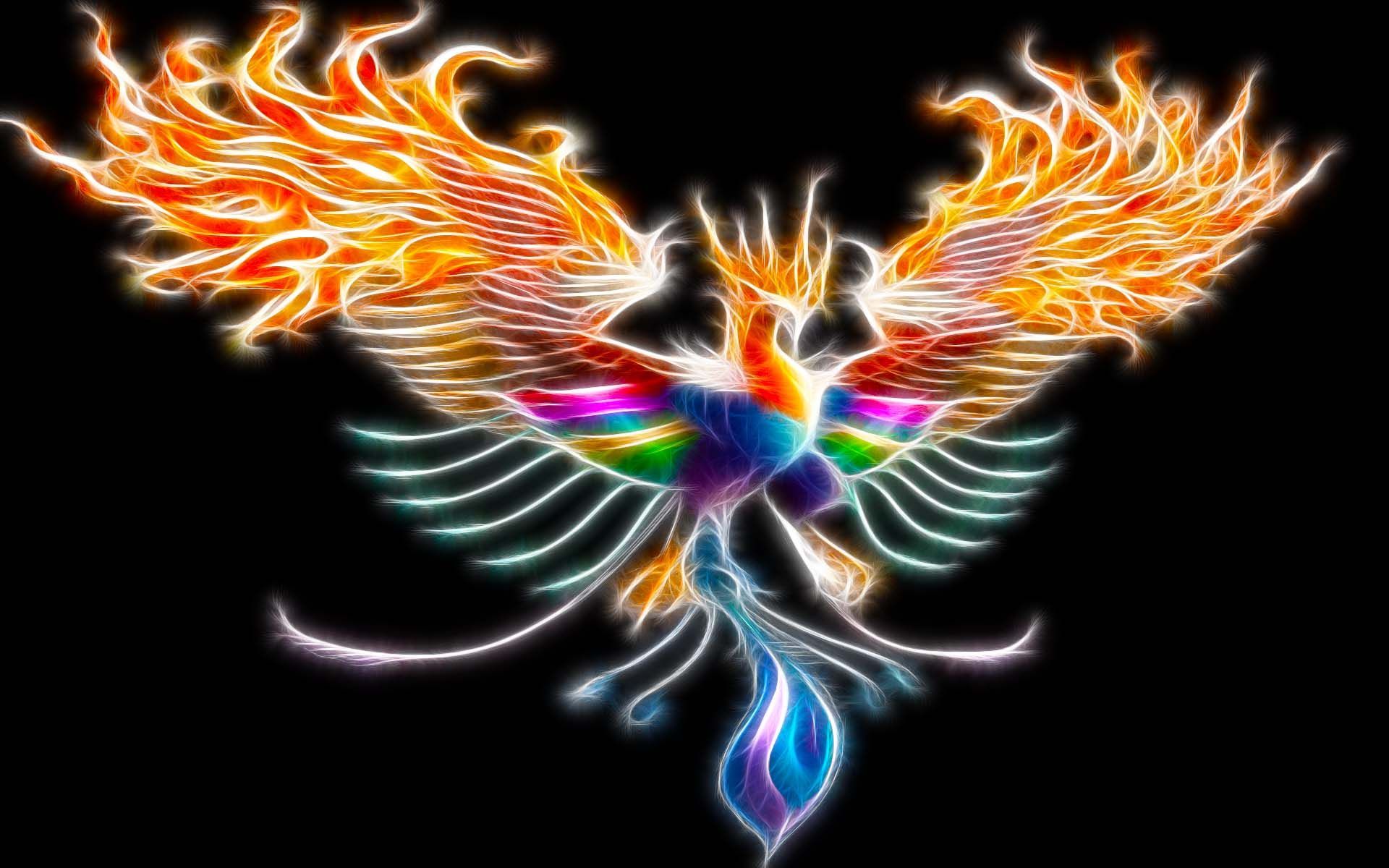 Rainbow Phoenix Wallpaper Free Rainbow Phoenix Background