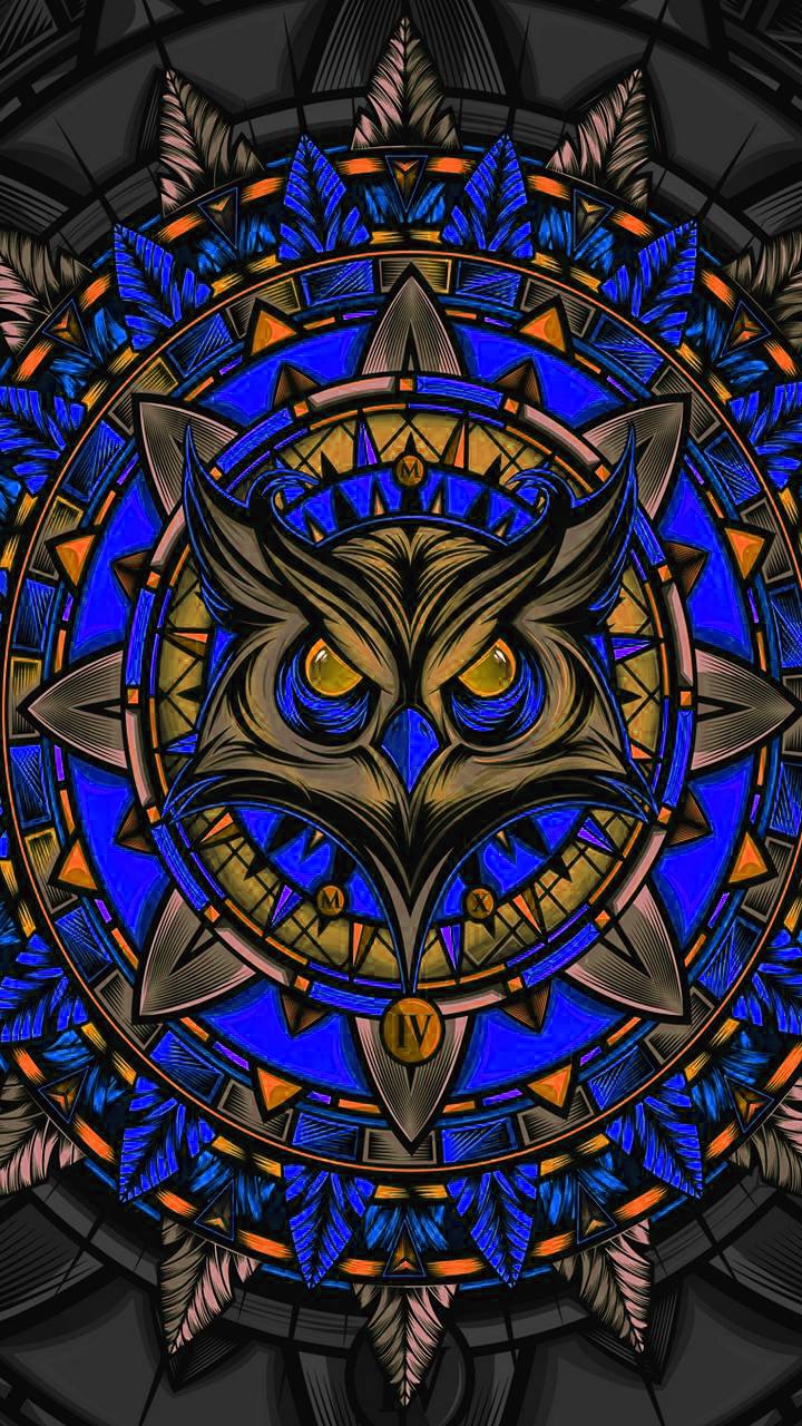 Mighty Owl Wallpaper Free Mighty Owl Background