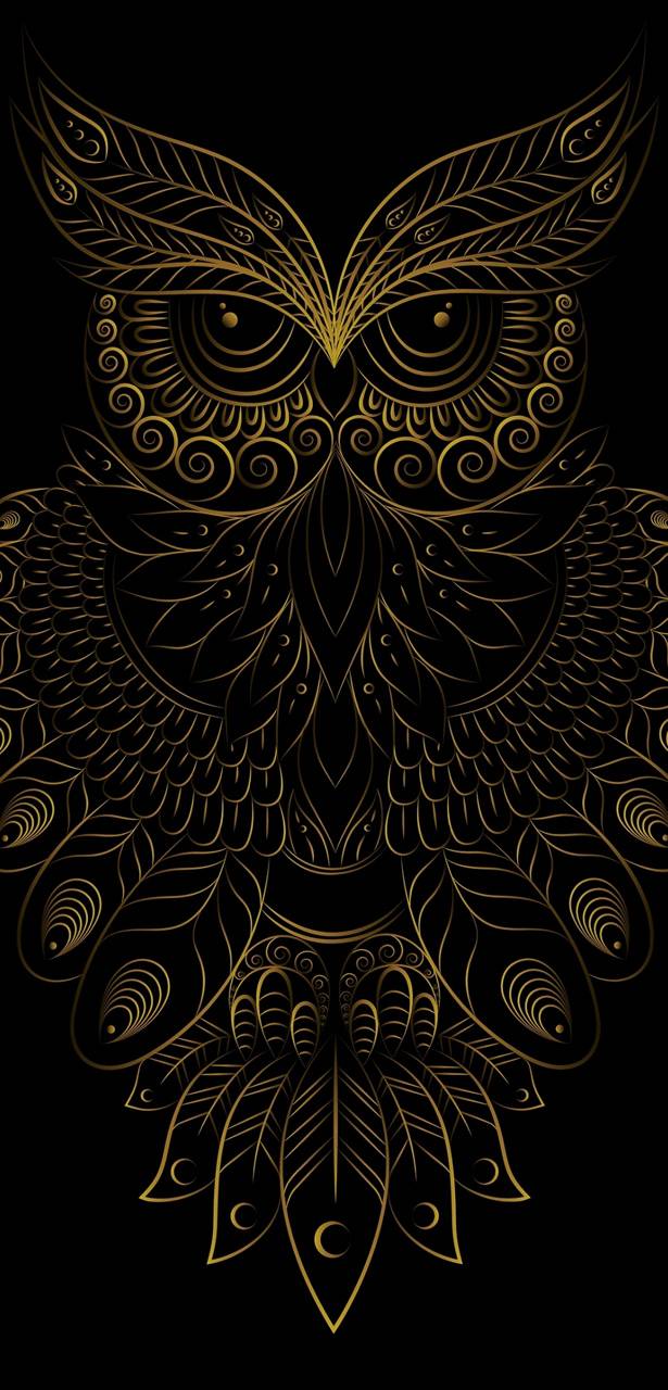 Mighty Owl Wallpaper