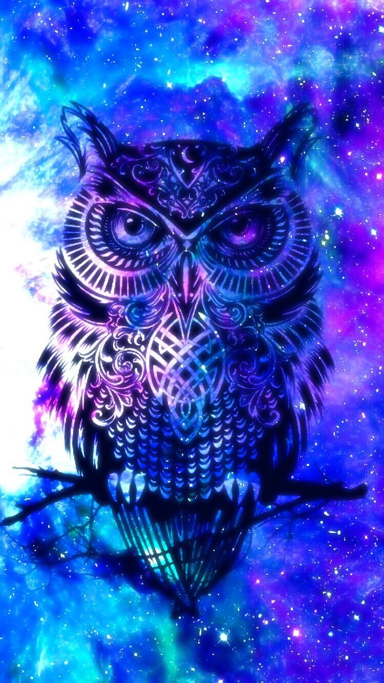 The Owl's Path