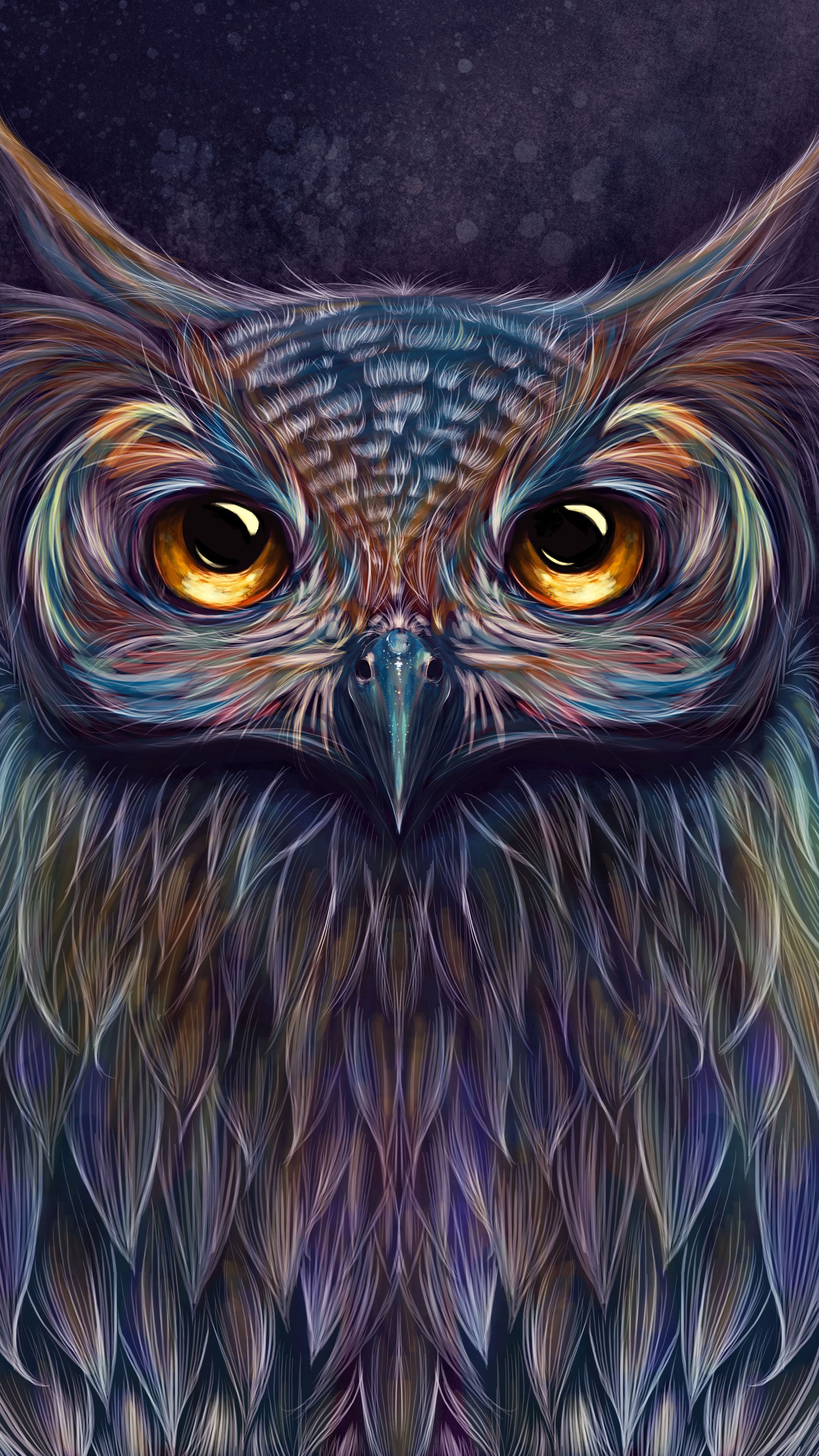 Colorful Owl Wallpaper, HD Colorful Owl Background on WallpaperBat