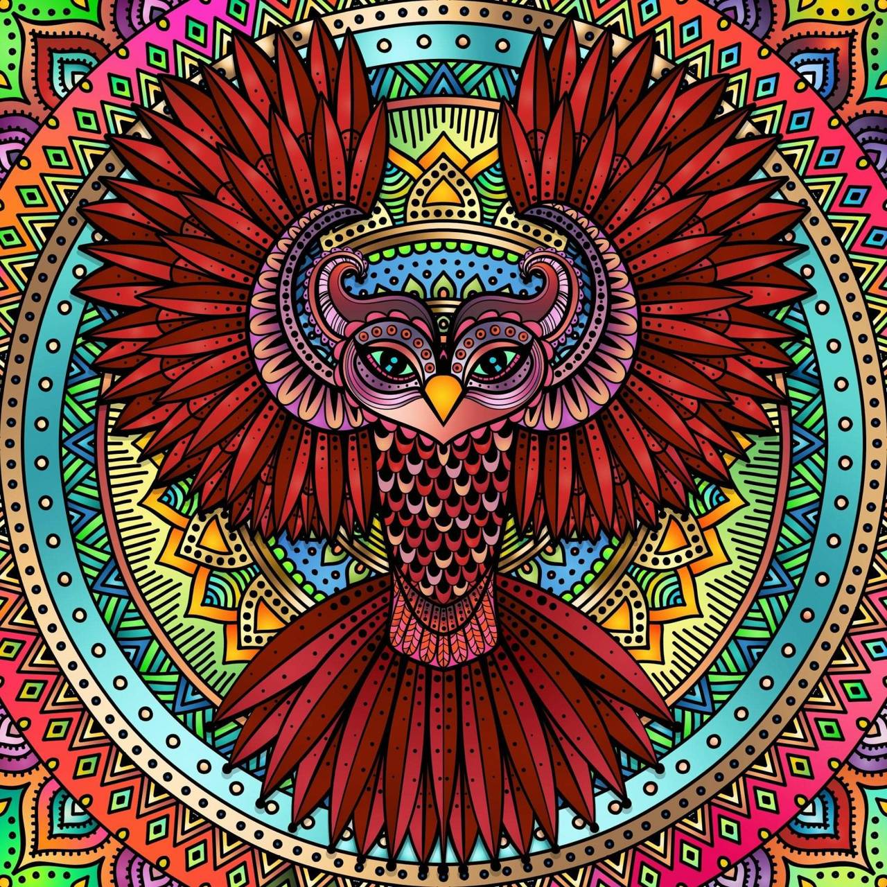 Colorful Owl Wallpaper, HD Colorful Owl Background on WallpaperBat