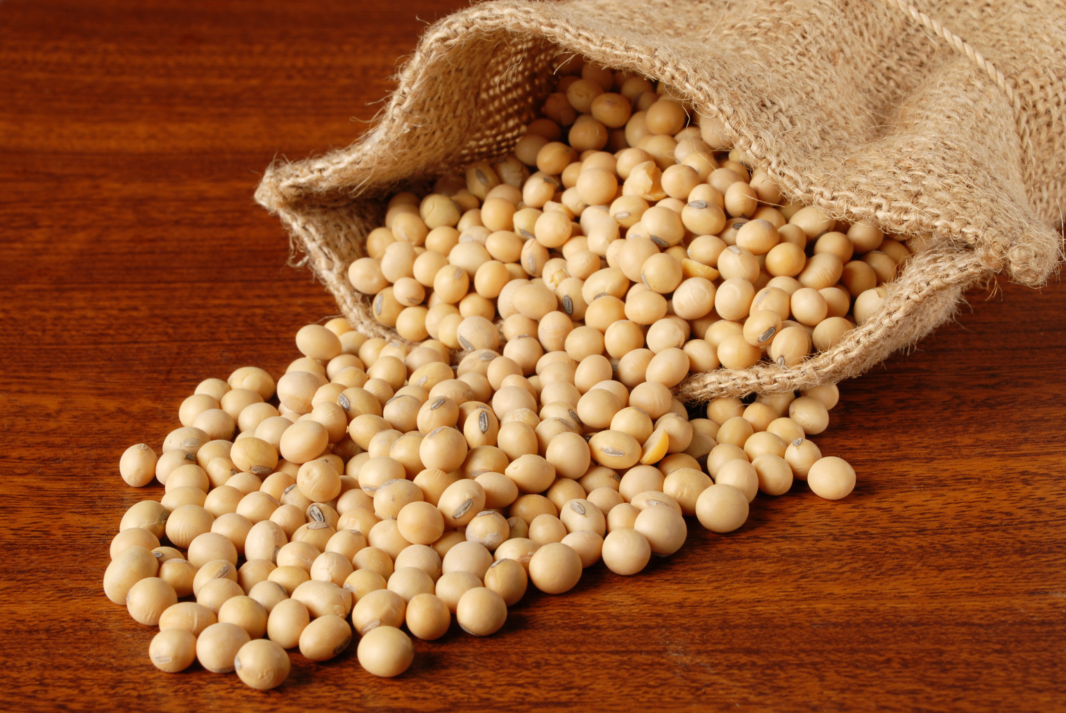 Undeniable Health Benefits of Soybeans